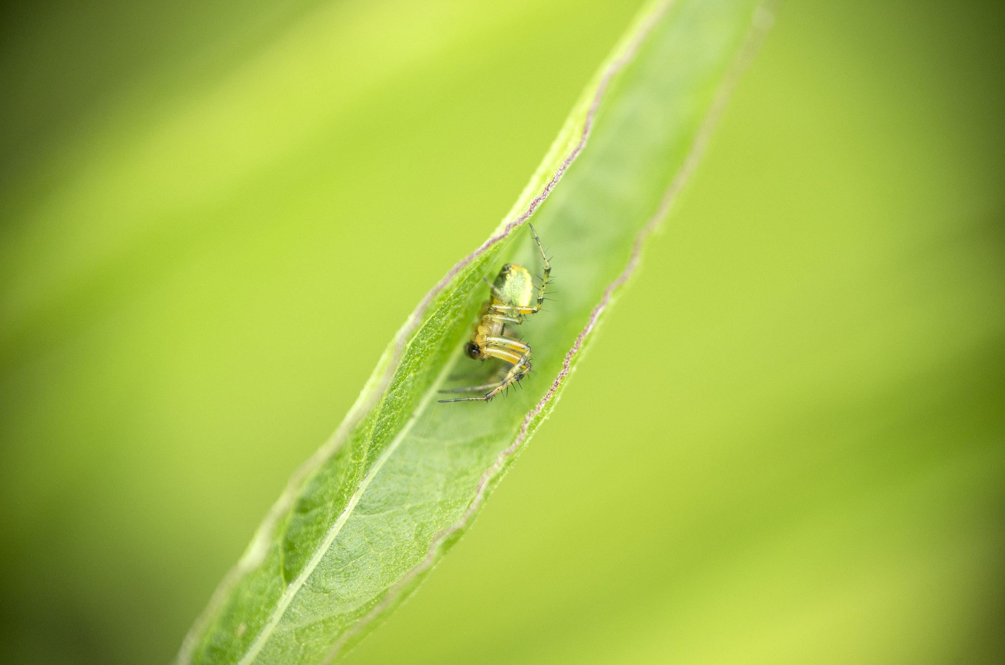 Tamron AF 28-75mm F2.8 XR Di LD Aspherical (IF) sample photo. *** photography