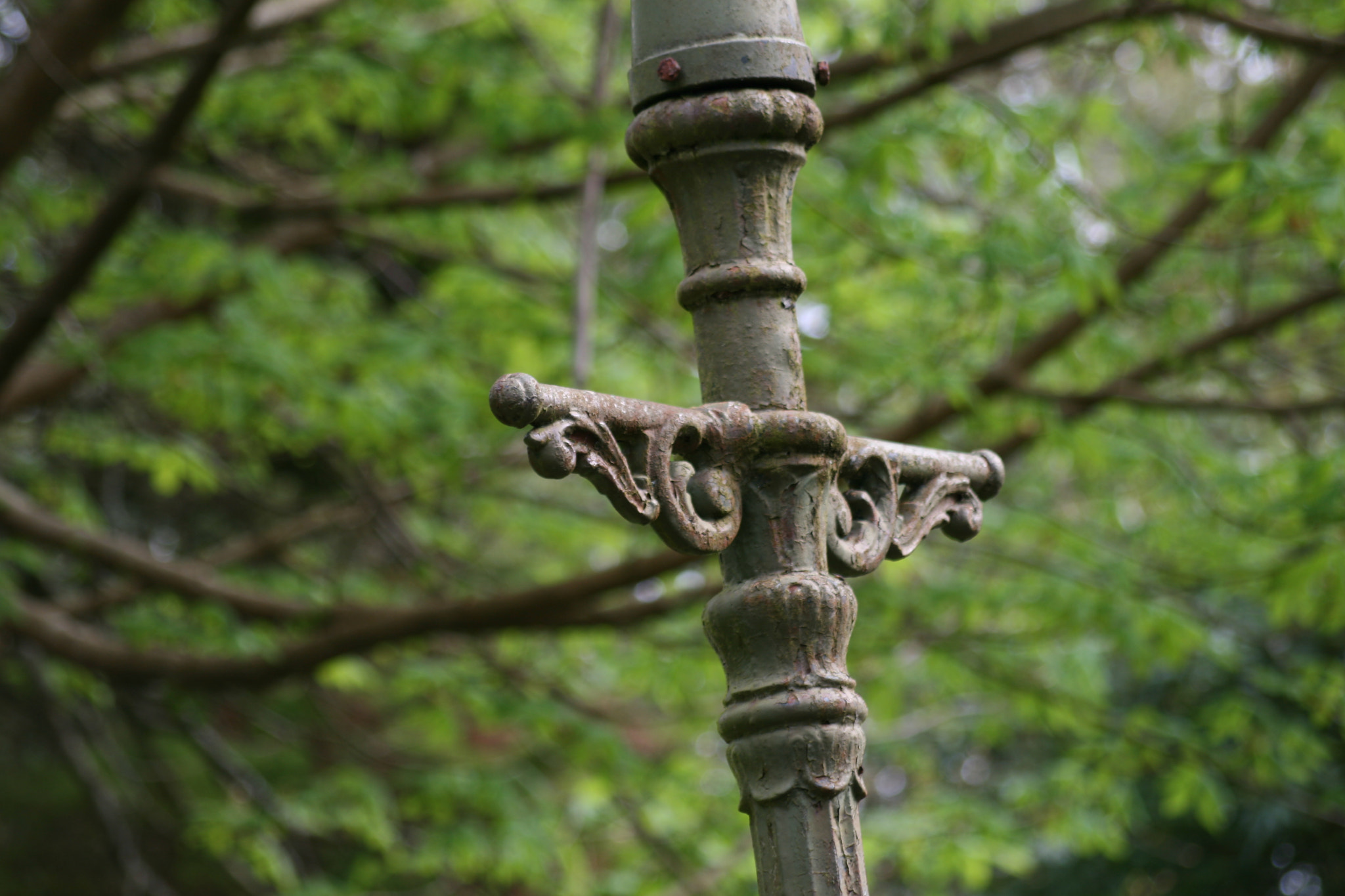 Sigma 55-200mm f/4-5.6 DC sample photo