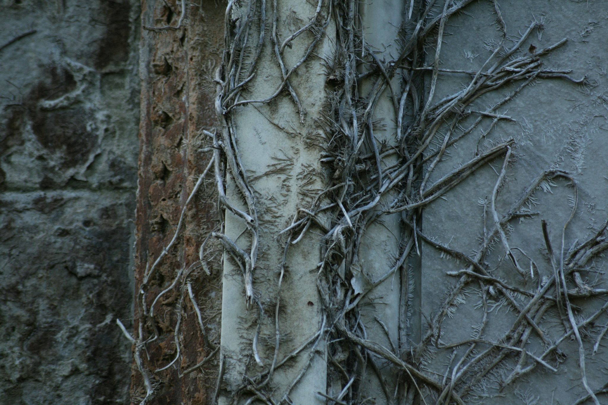 Sigma 55-200mm f/4-5.6 DC sample photo