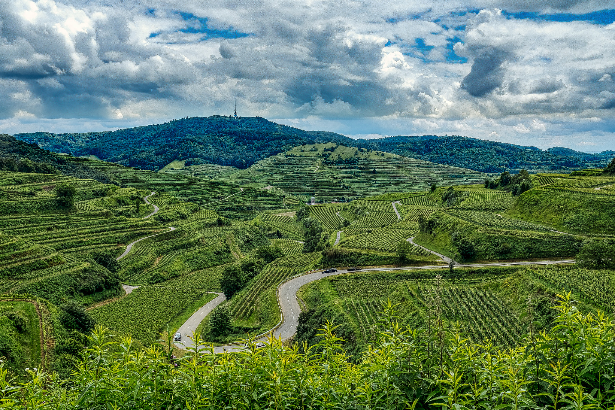 Olympus OM-D E-M5 II sample photo. Kaiserstuhl - texaspass photography