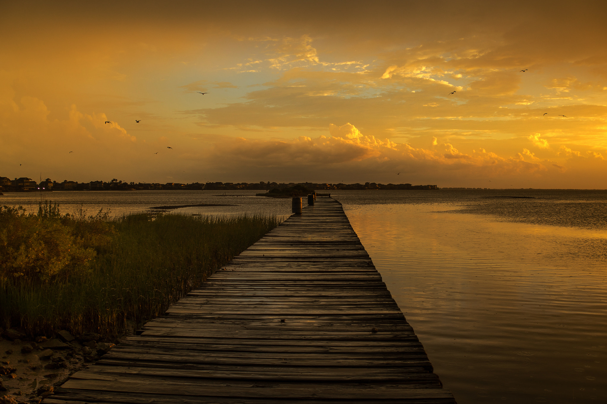 Sony a7 + 35-70mm F4 sample photo. Golden evening photography