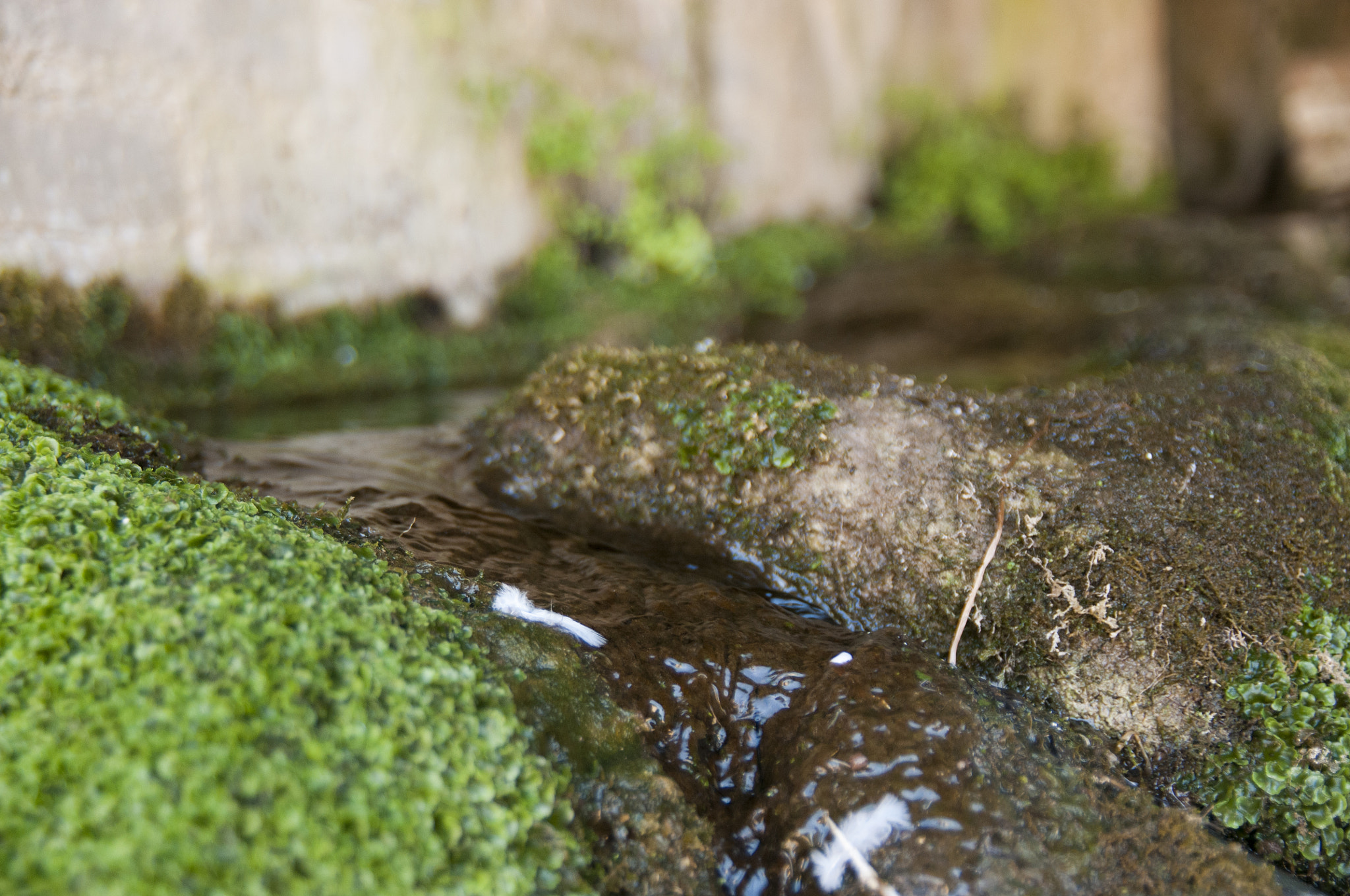 Nikon D300S sample photo. Life photography