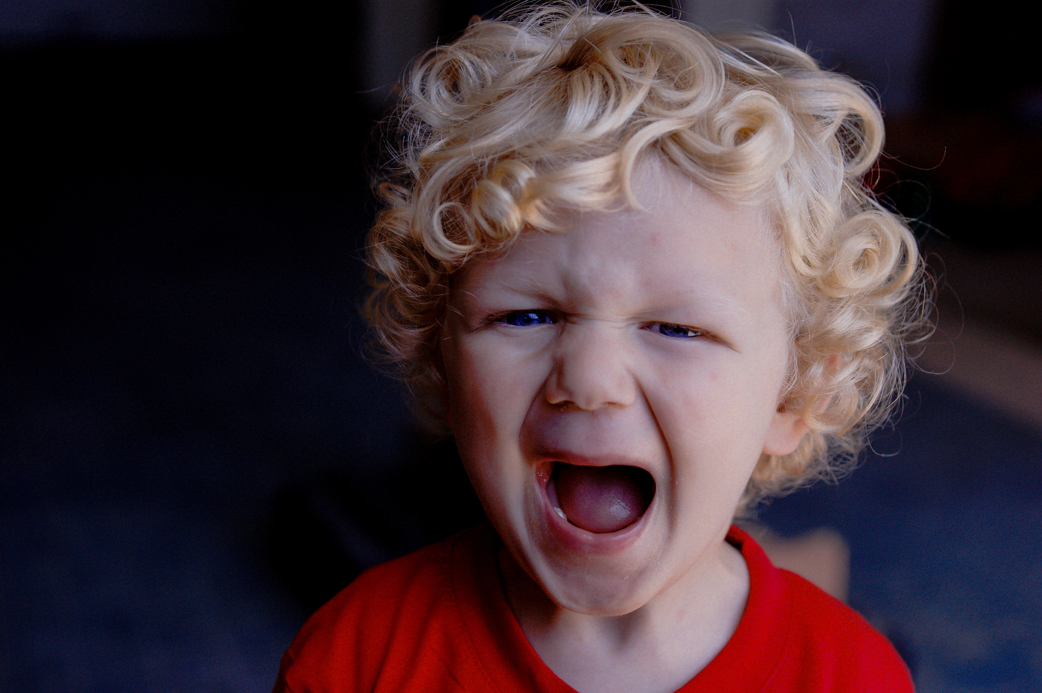 Sony Alpha DSLR-A350 sample photo. Re leone photography