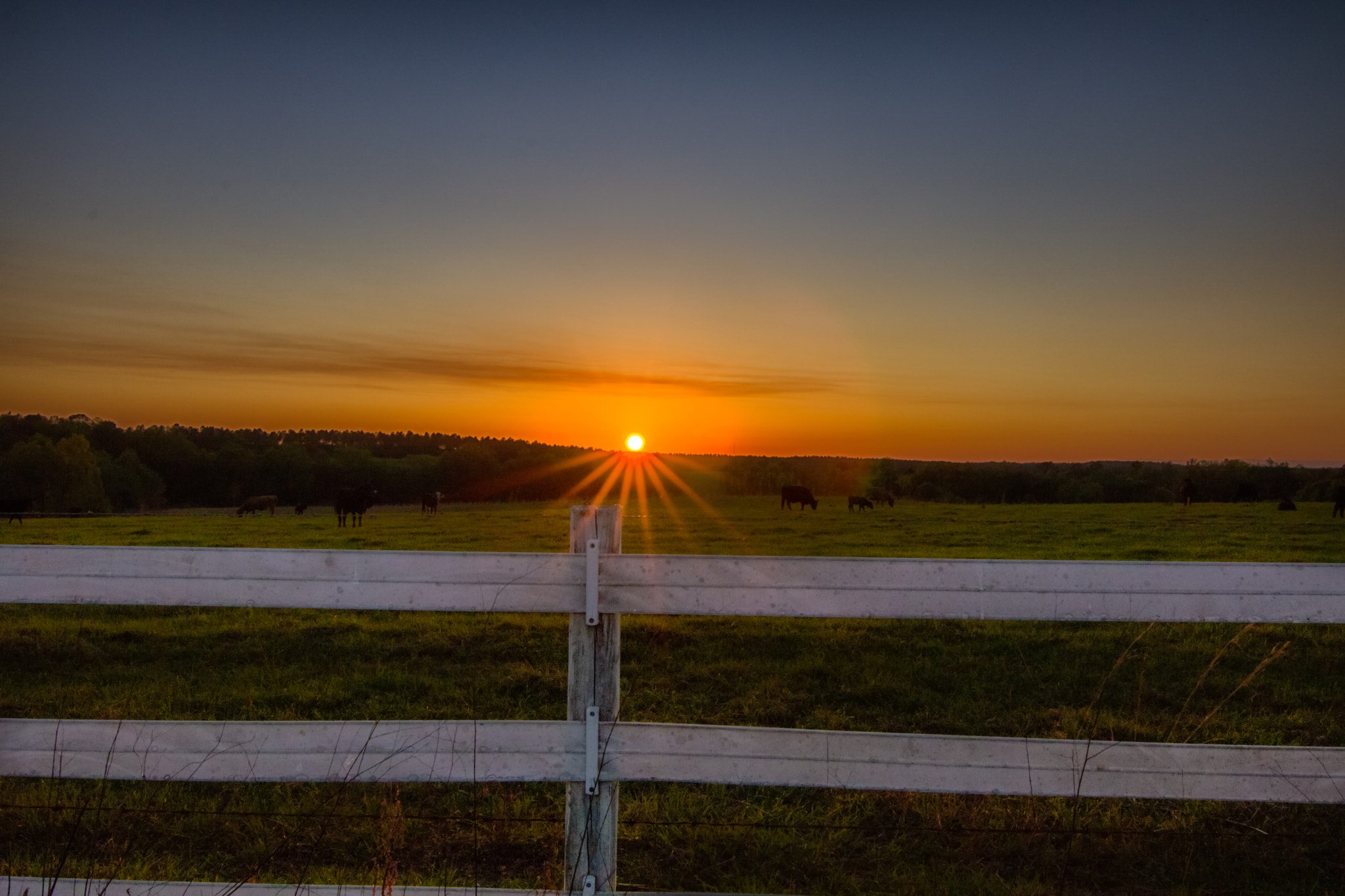 Canon EOS 750D (EOS Rebel T6i / EOS Kiss X8i) sample photo. Farmside sunset photography
