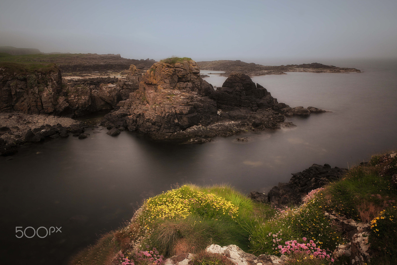 Saumsun NX 16-50mm F2-2.8 S ED OIS sample photo. Other dimensions photography
