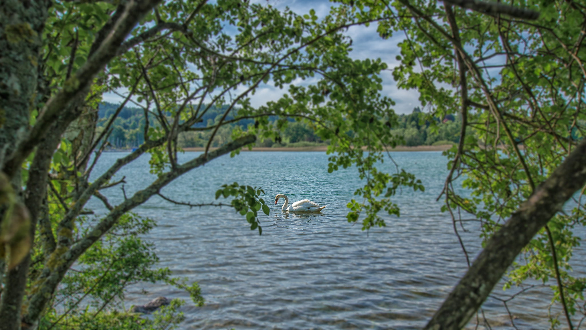 Sony SLT-A57 sample photo. Relax at the tegernsee (bavaria/germany) photography