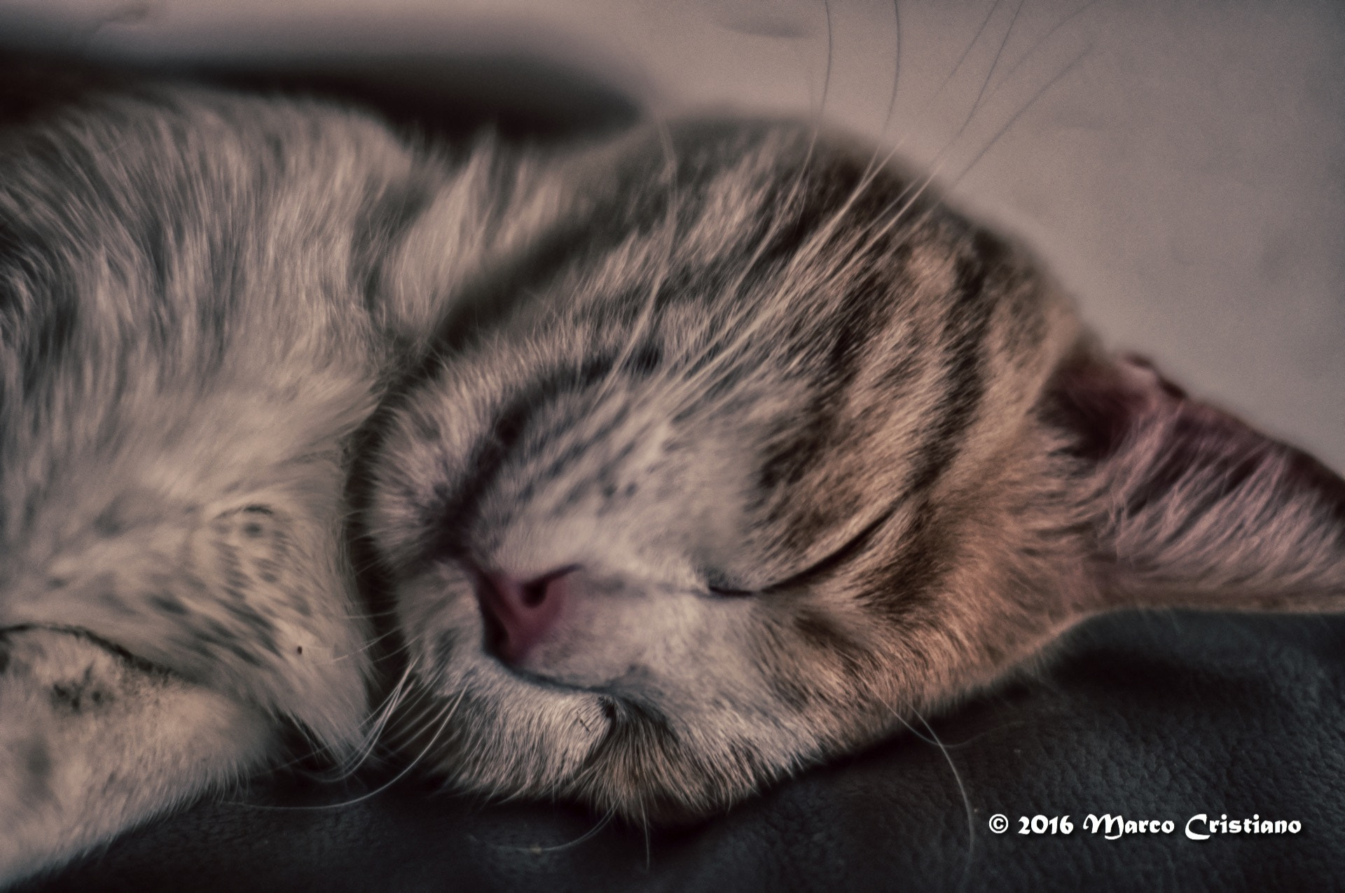 AF Nikkor 50mm f/1.8 sample photo. Good night photography