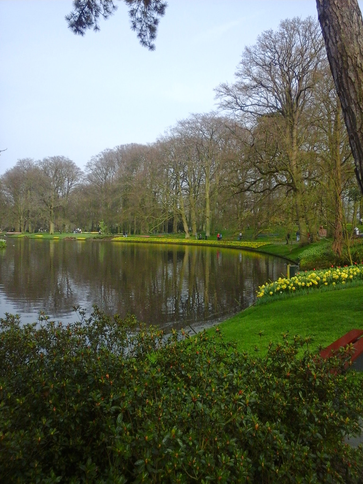 Samsung Galaxy Trend sample photo. Keukenhof garden. lisse. holanda. photography