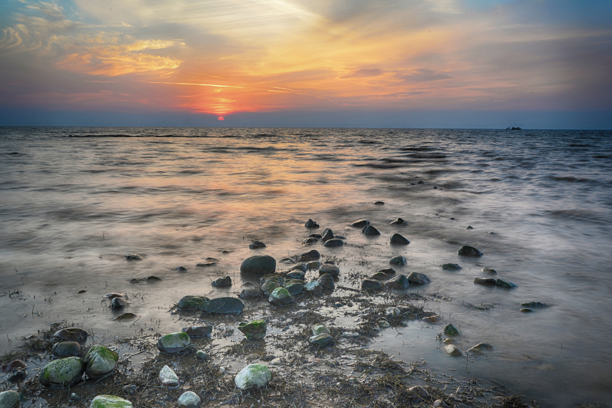 Nikon D610 + AF Nikkor 28mm f/1.4D sample photo. Sundown pong wetlands photography