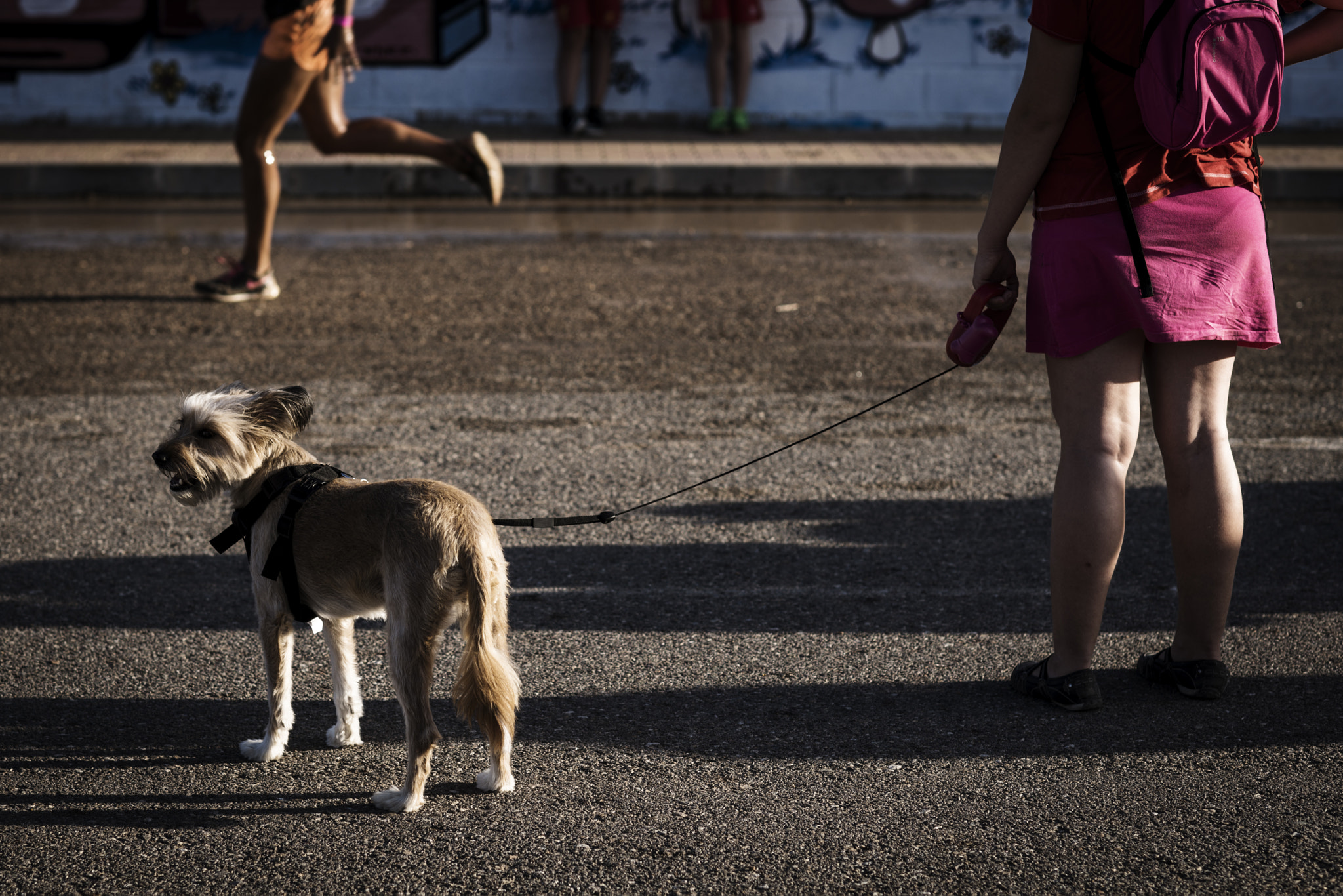 Sony Planar T* 85mm F1.4 ZA sample photo. La carrera photography