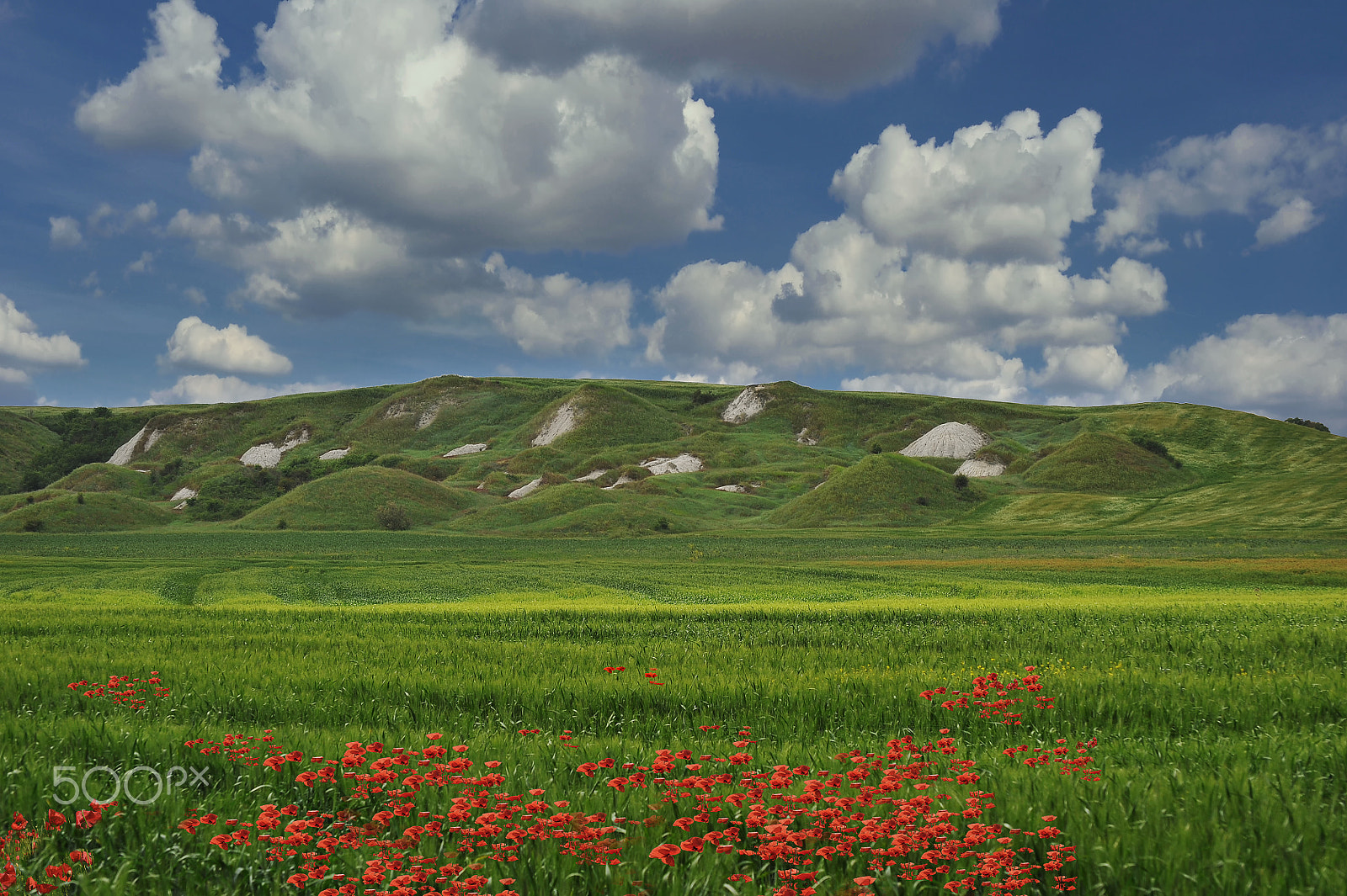 Nikon D3 sample photo. Crete senesi photography