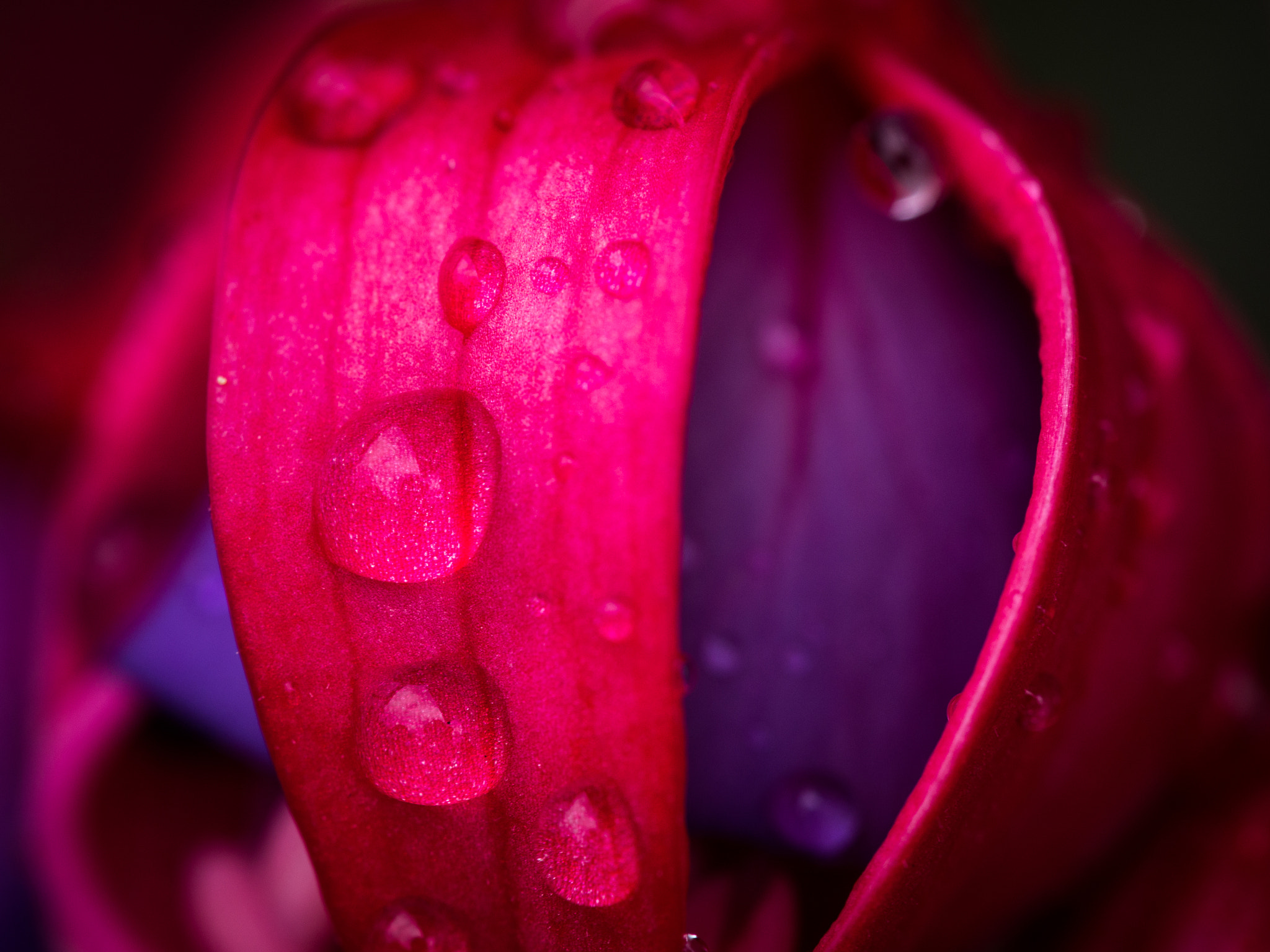 Olympus PEN E-PL5 sample photo. Nach dem regen photography