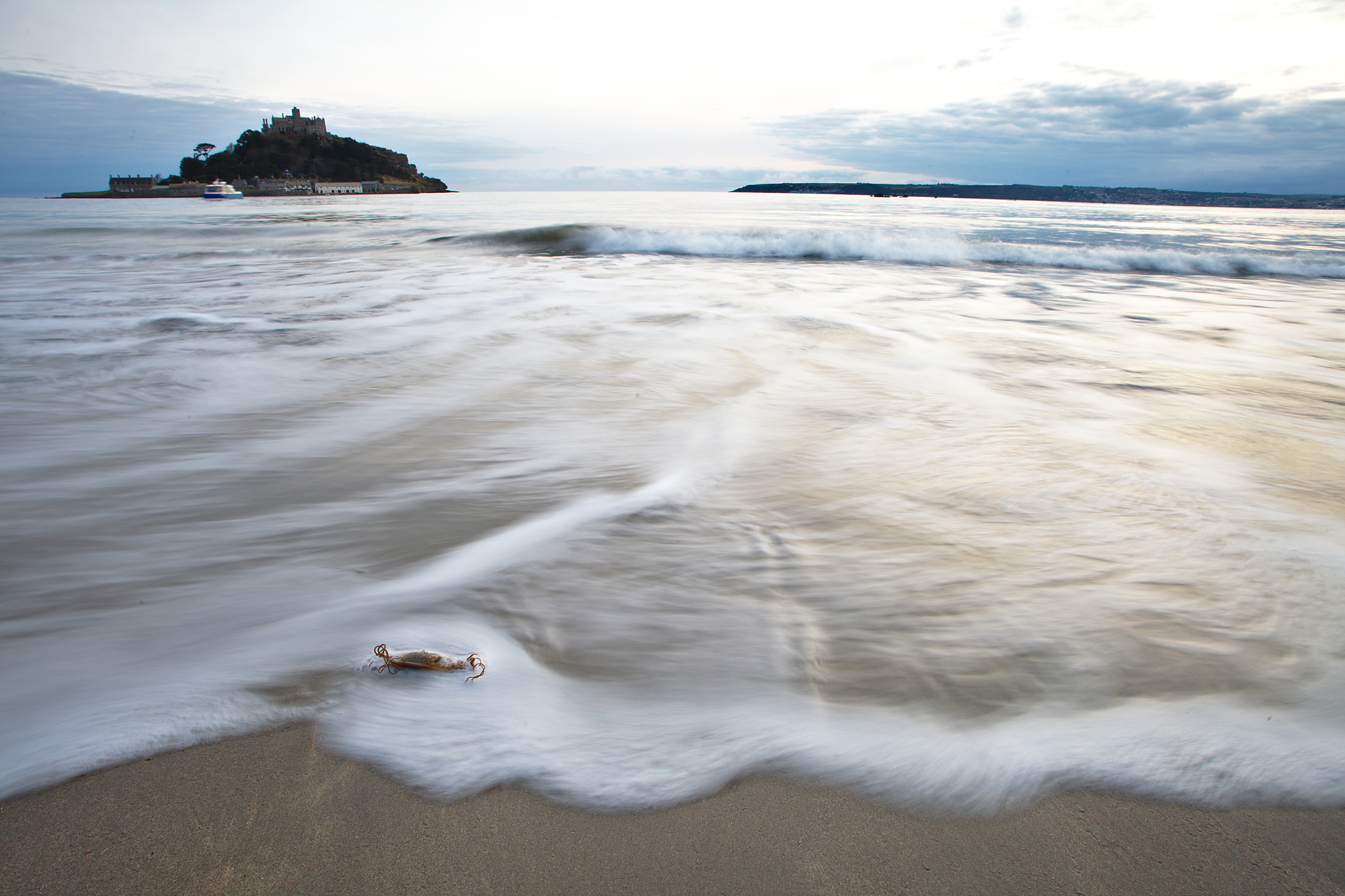 Canon EF 20-35mm F3.5-4.5 USM sample photo. Shark egg photography