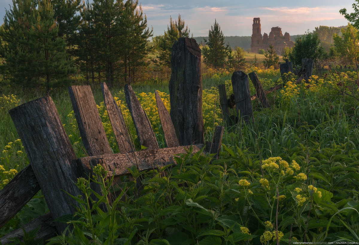 Sony Alpha a99 sample photo. Rural sunrise at russia photography
