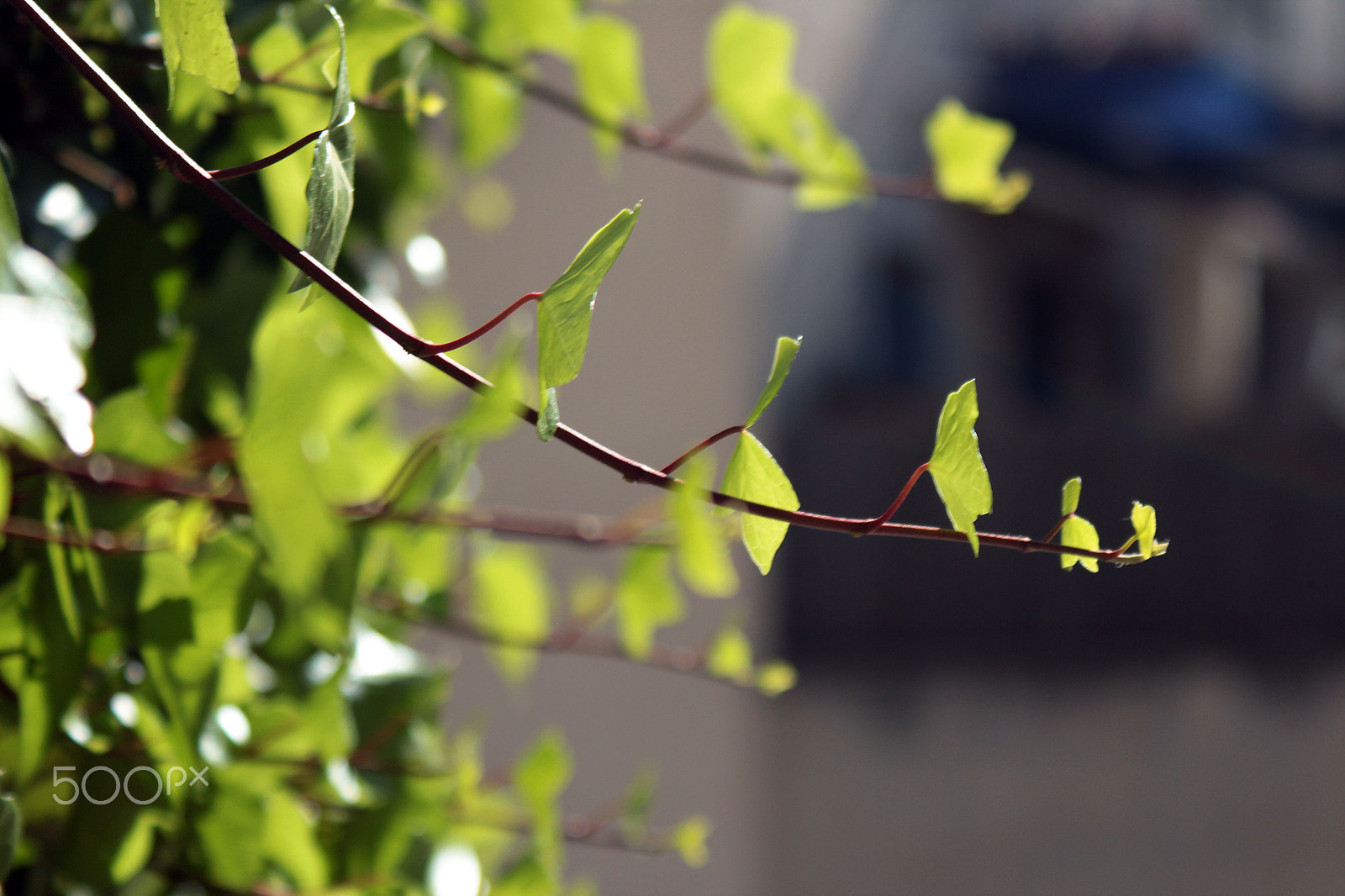 Canon EF 28-90mm f/4-5.6 sample photo. One day in #sitges #spain photography