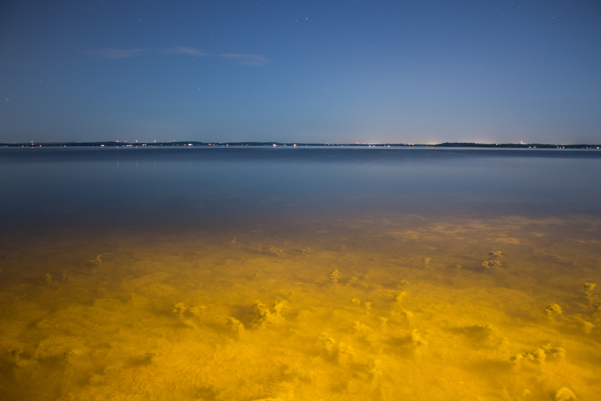 Canon EOS 7D Mark II + Canon EF-S 18-55mm F3.5-5.6 IS sample photo. Moss in lake mendota photography