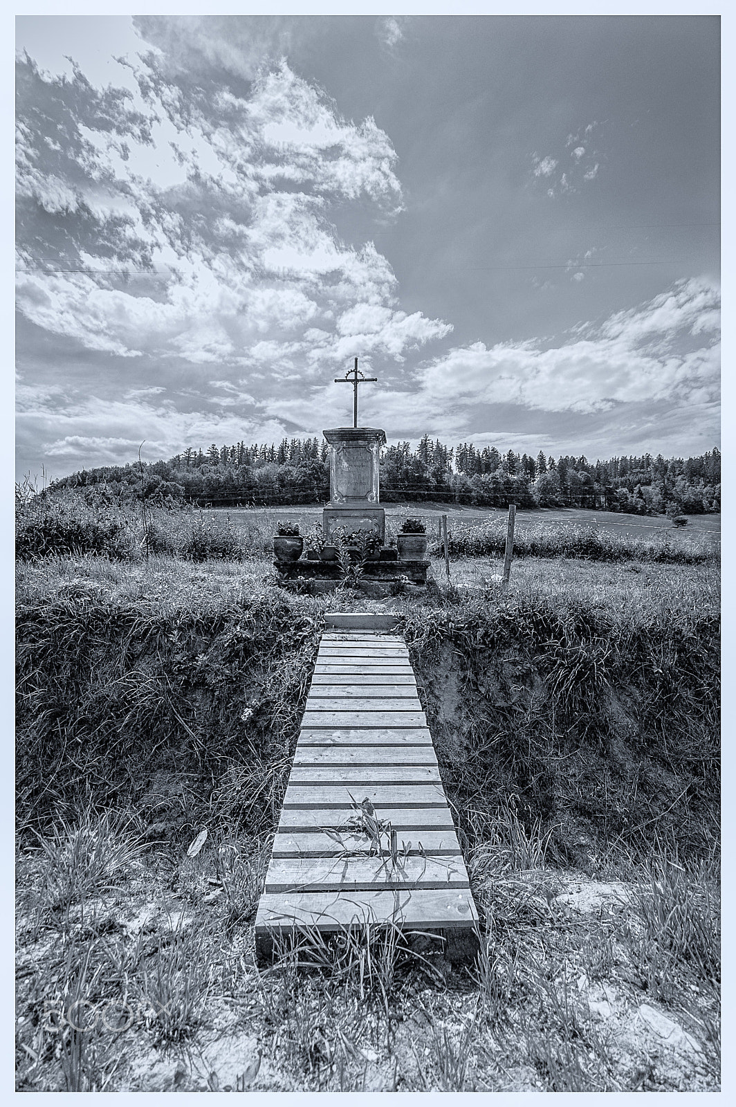 Nikon D70s sample photo. Piotrowice photography