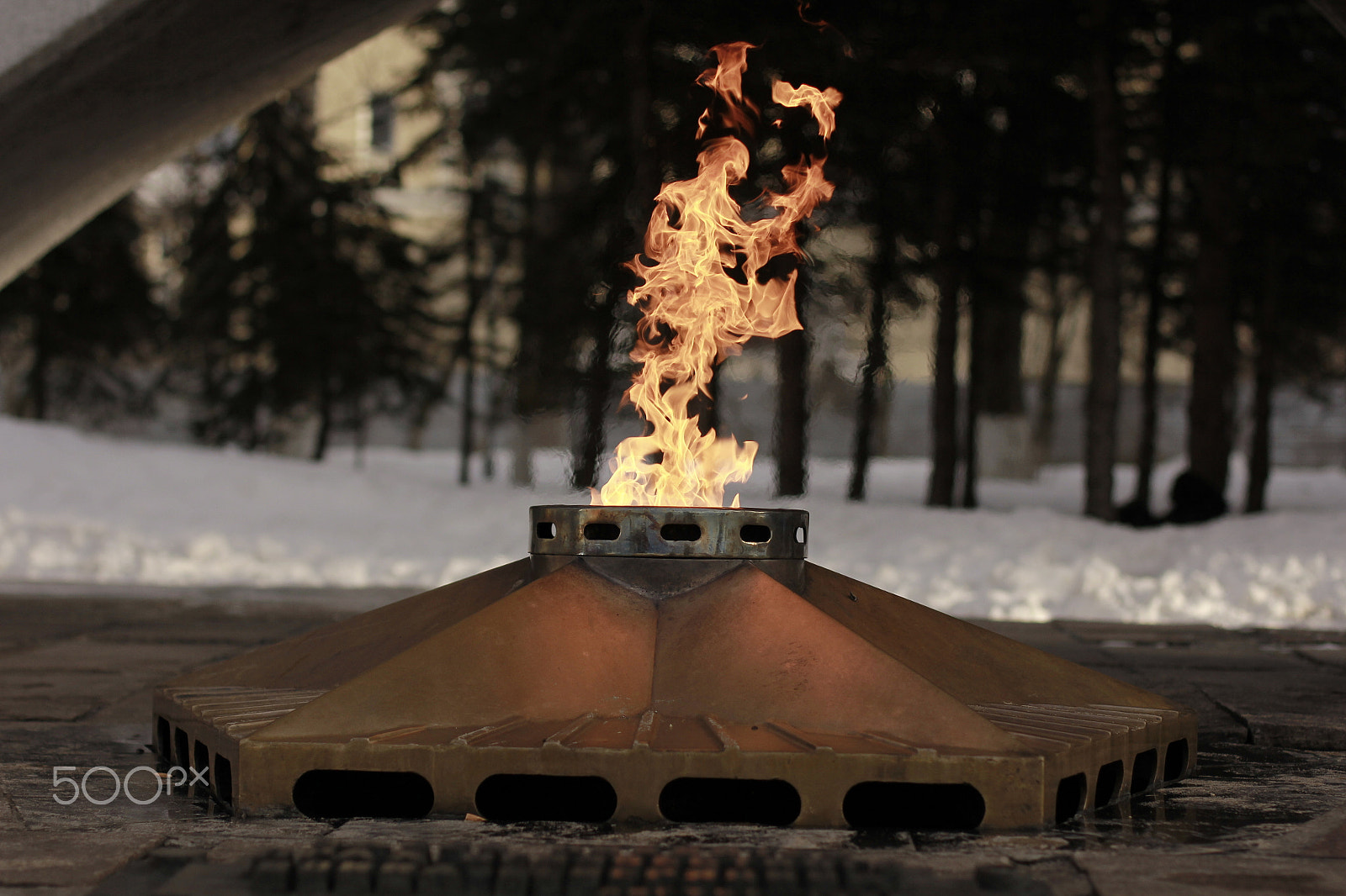 Canon EOS 60D + Canon EF 50mm F1.4 USM sample photo. (Вечный огонь) photography