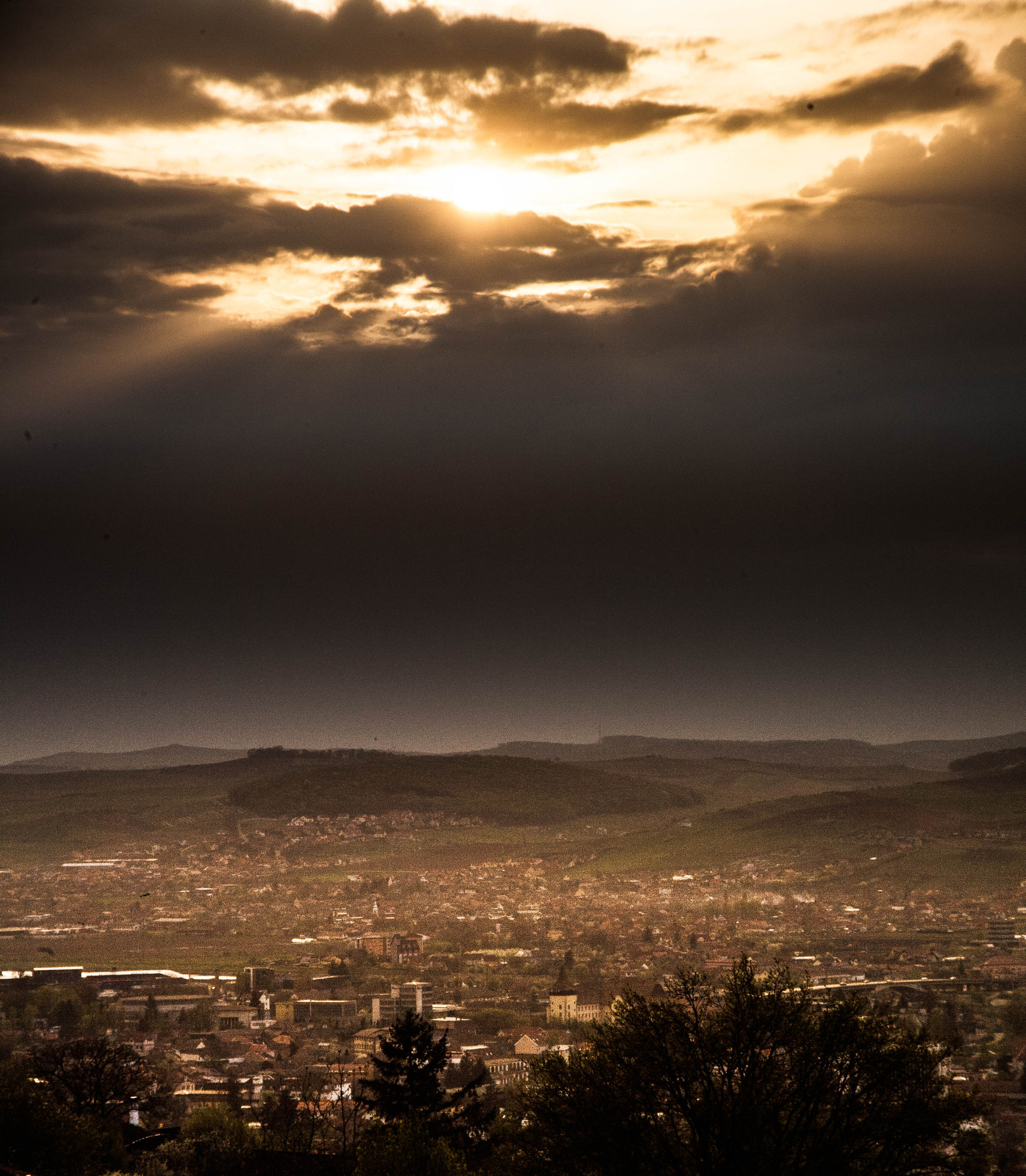 Canon EOS 5D sample photo. After rain photography