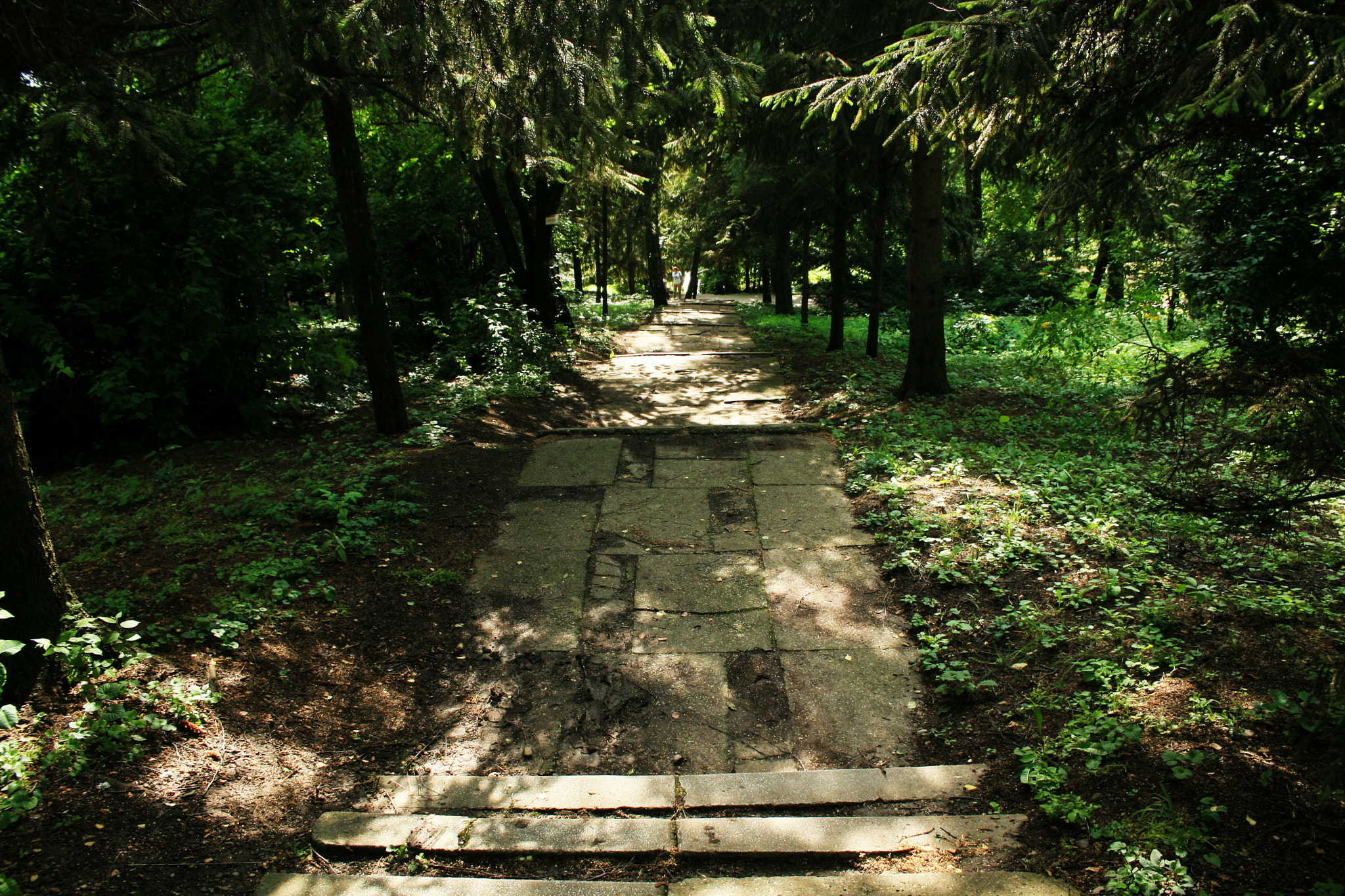 Canon EF-S 18-55mm F3.5-5.6 sample photo. Lonely stairs photography