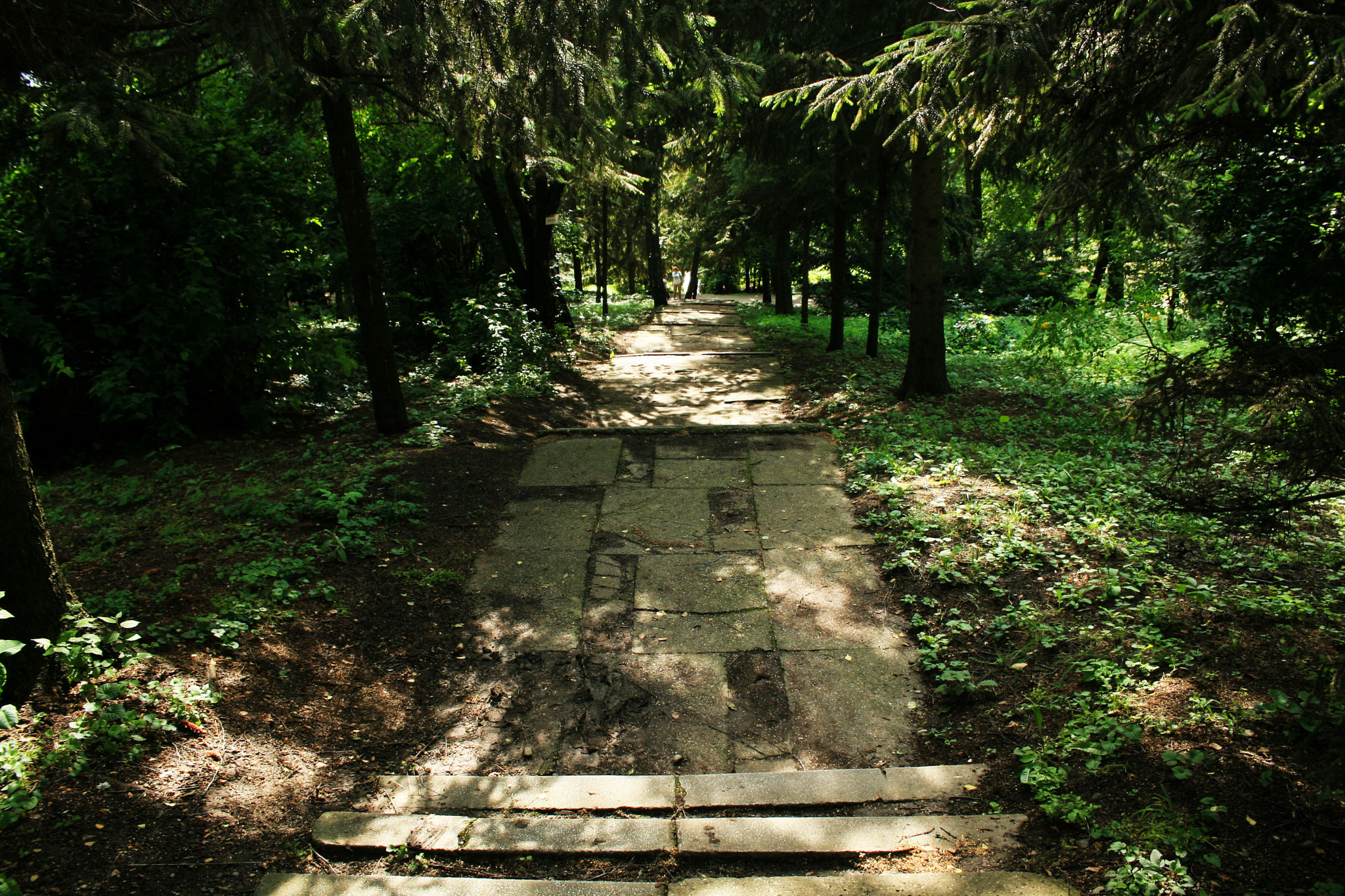 Canon EOS 30D + Canon EF-S 18-55mm F3.5-5.6 sample photo. Lonely stairs photography