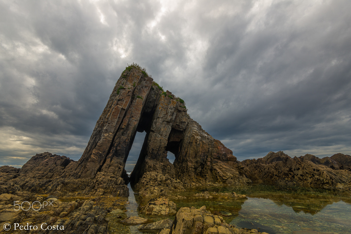 Nikon D610 + Tokina AT-X 17-35mm F4 Pro FX sample photo. Wild places. photography
