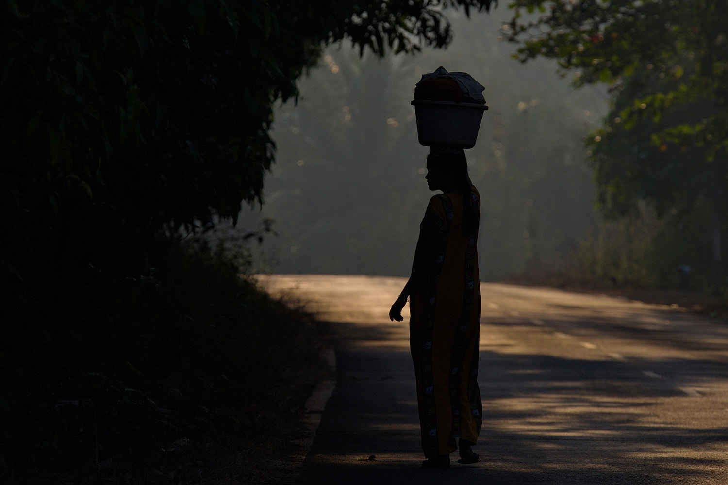 Canon EF 70-200mm F2.8L IS II USM sample photo. India photography