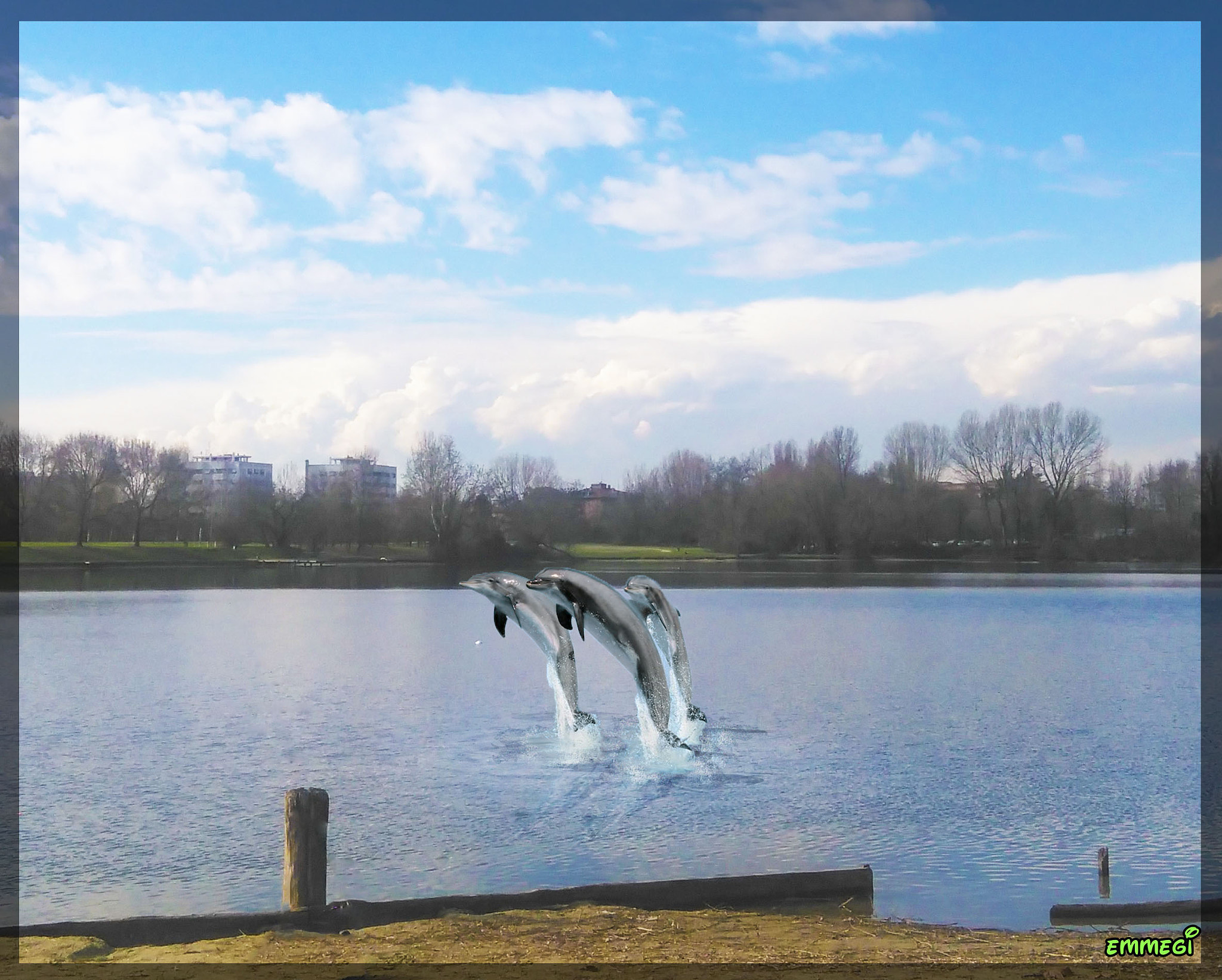 HUAWEI G620S-L01 sample photo. Delfini photography