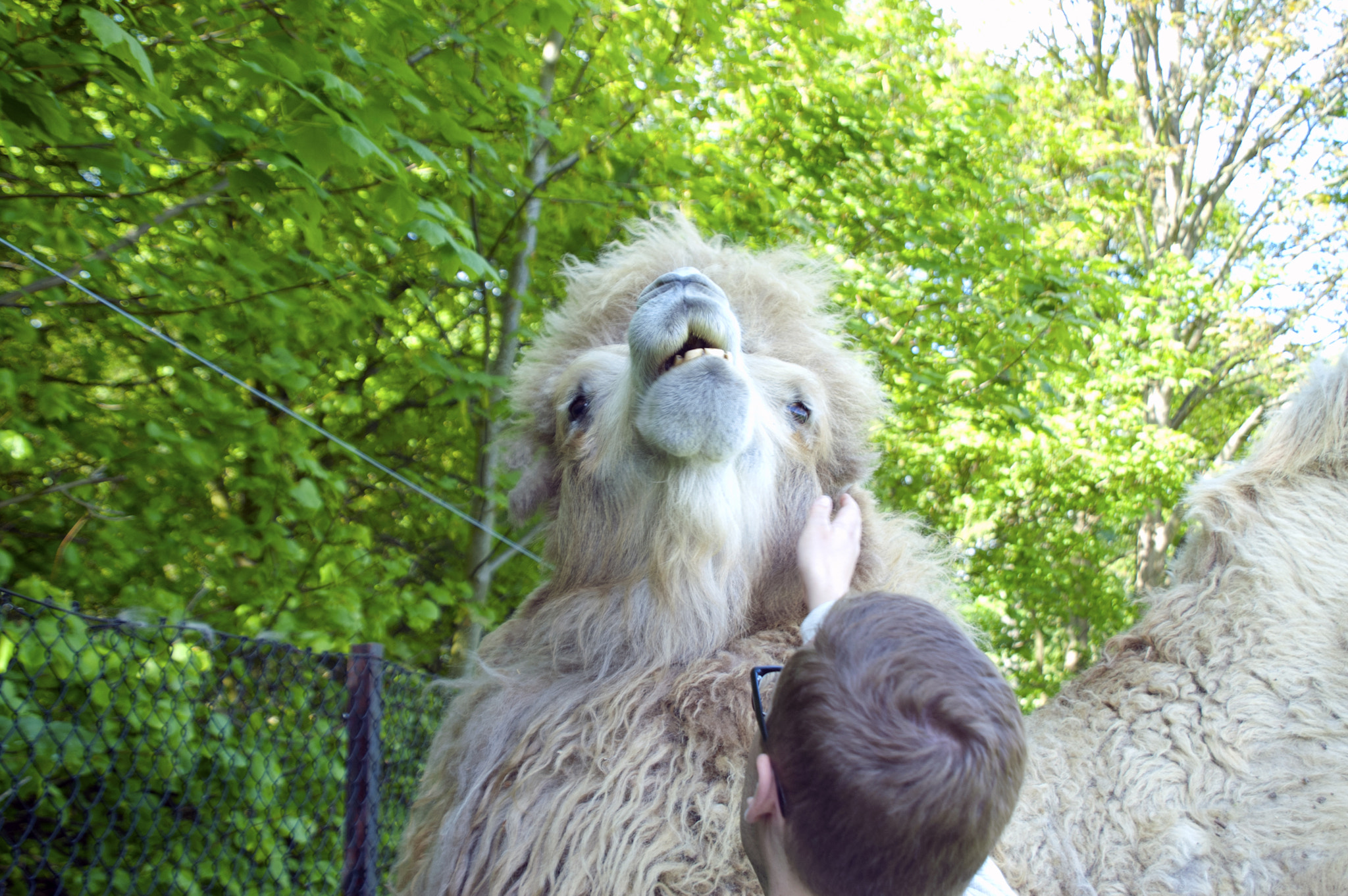 KONICA MINOLTA MAXXUM 5D sample photo. That's the spot! photography