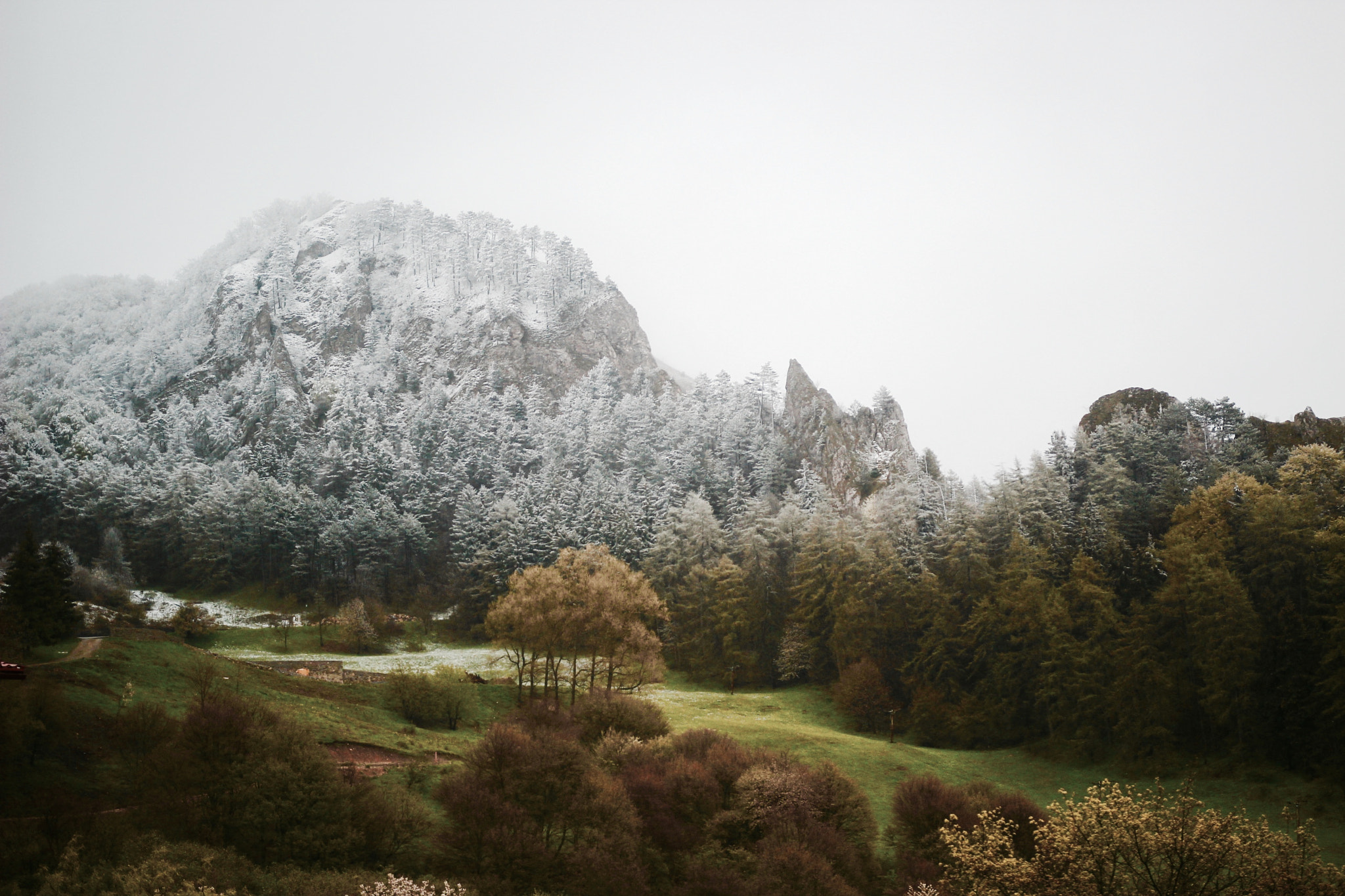 Sigma 24-35mm F2 DG HSM Art sample photo. White mountain photography