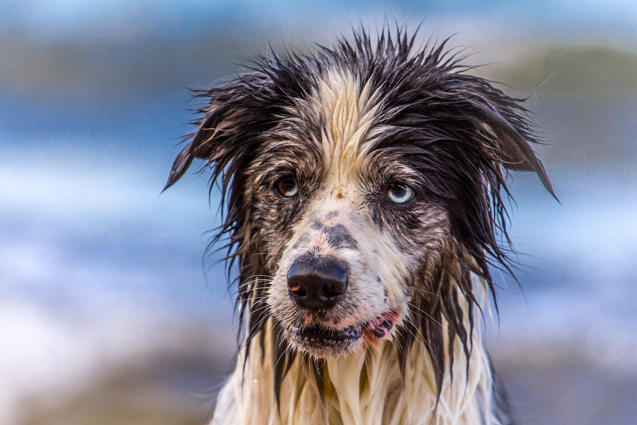 Canon EOS 650D (EOS Rebel T4i / EOS Kiss X6i) + Canon EF 70-200mm F4L USM sample photo. Born to be... wet photography
