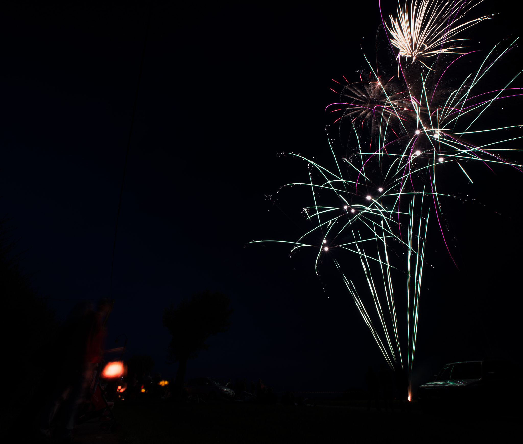 Sigma 14mm F2.8 EX Aspherical HSM sample photo. Feu d'artifice photography