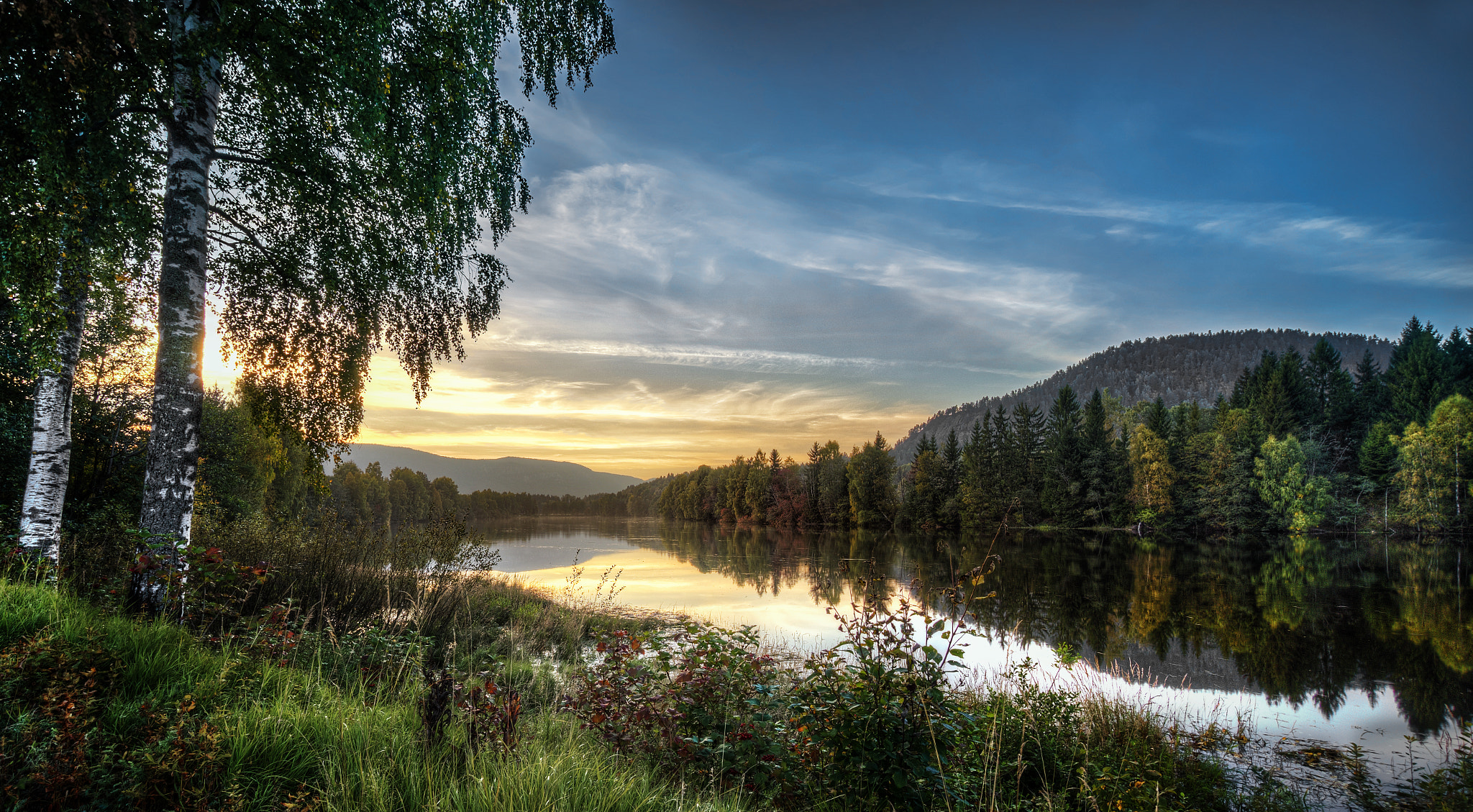 Sony E 10-18mm F4 OSS sample photo. Norwegian wood photography
