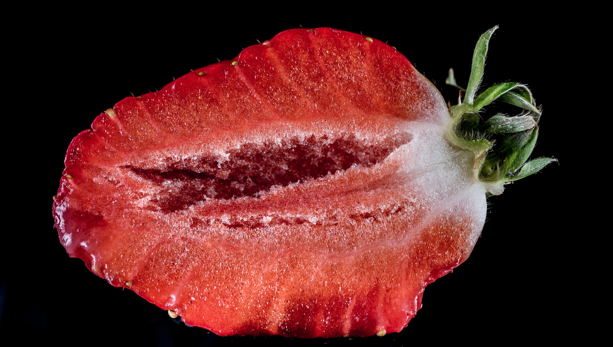 Nikon D810 + Nikon AF Micro-Nikkor 60mm F2.8D sample photo. Strawberry half photography