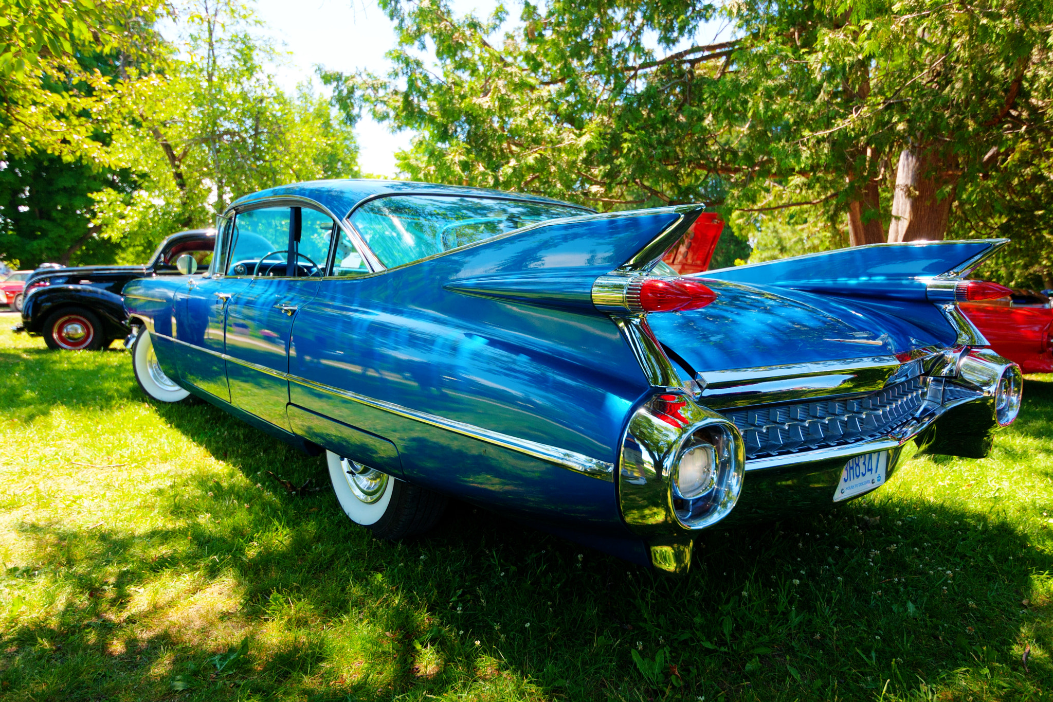 Tokina AT-X 11-20mm F2.8 PRO DX sample photo. The caddy photography
