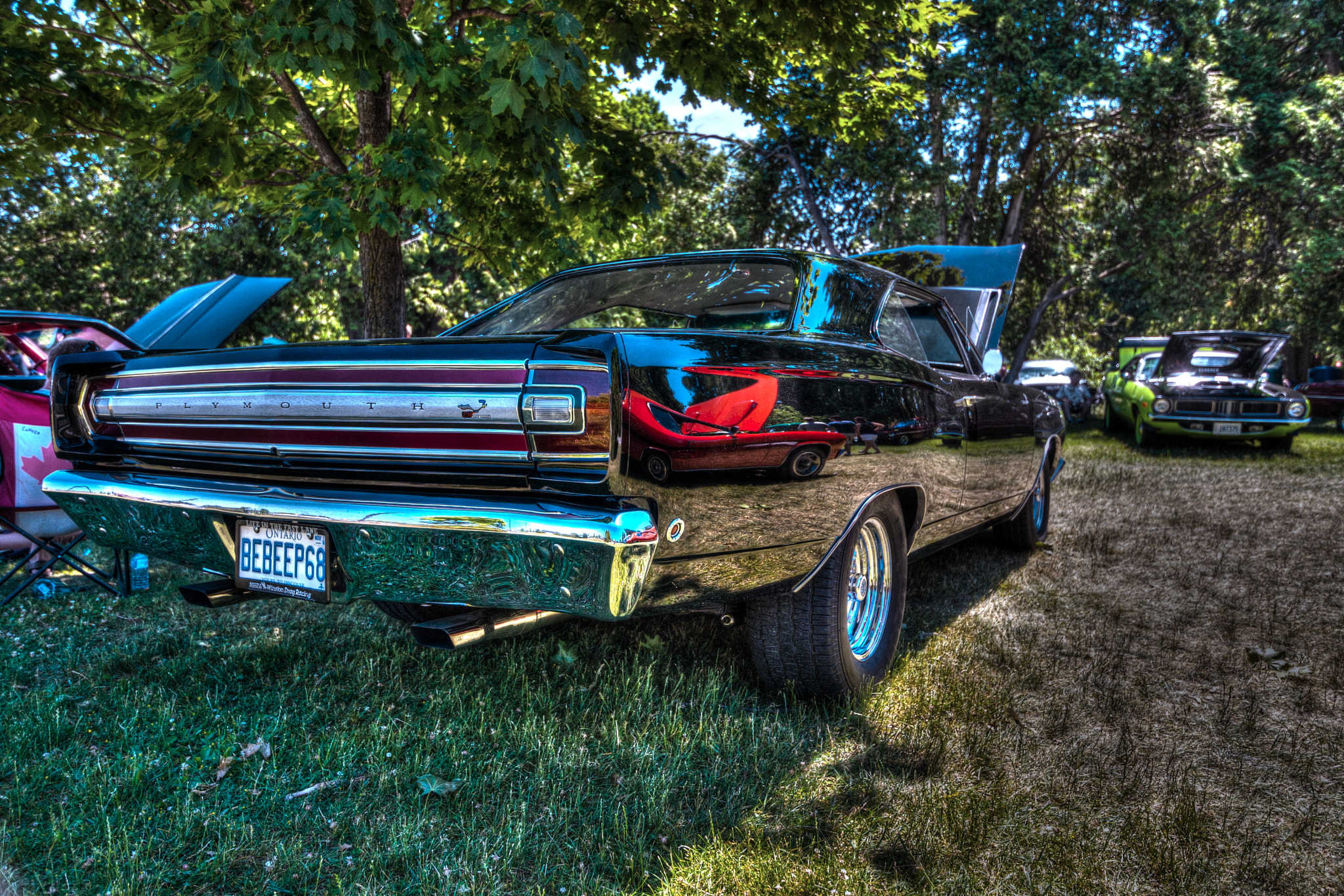 Tokina AT-X 11-20mm F2.8 PRO DX sample photo. Roadrunner photography