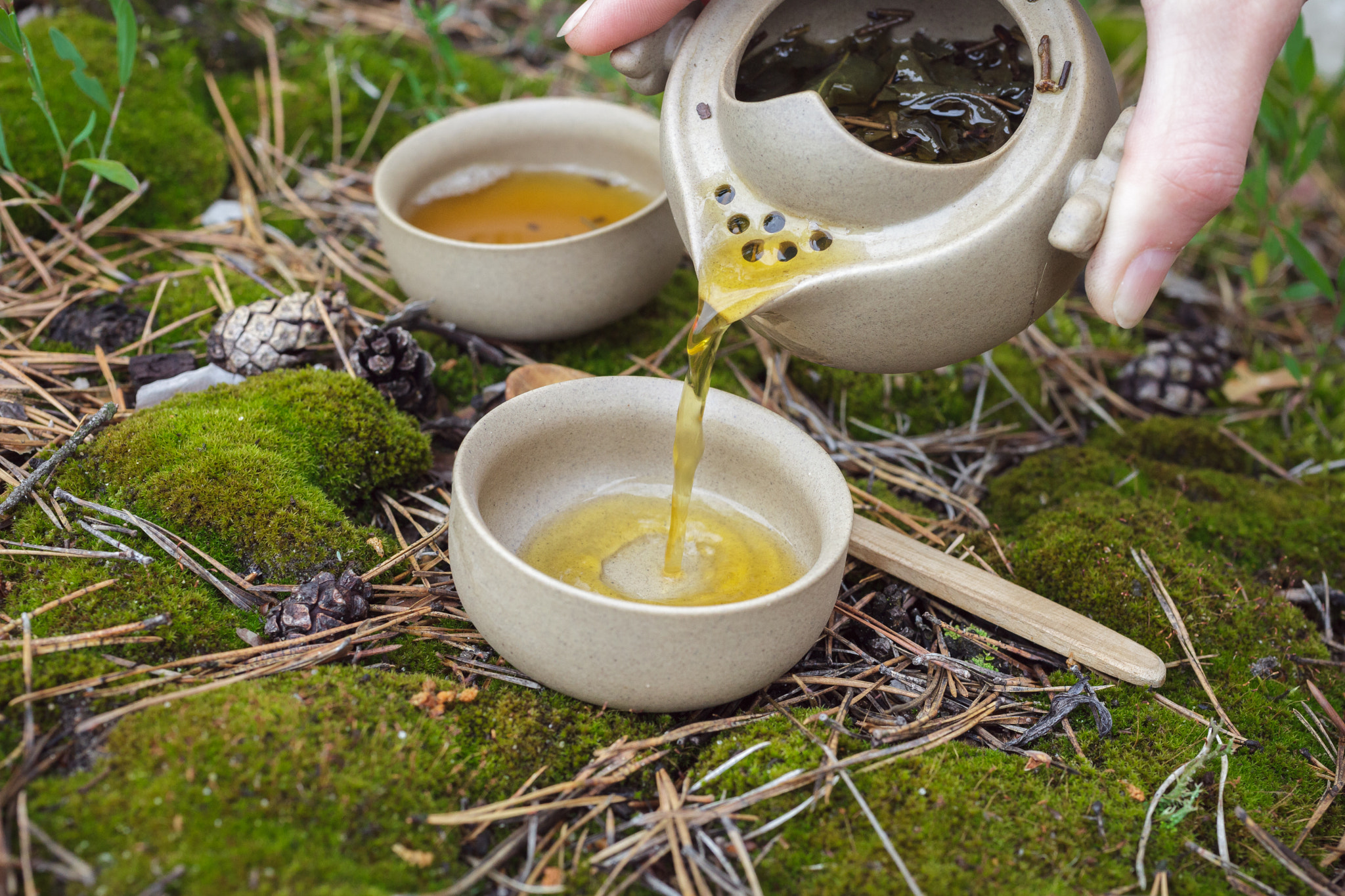 Canon EF 50mm F2.5 Macro sample photo. Tea set photography