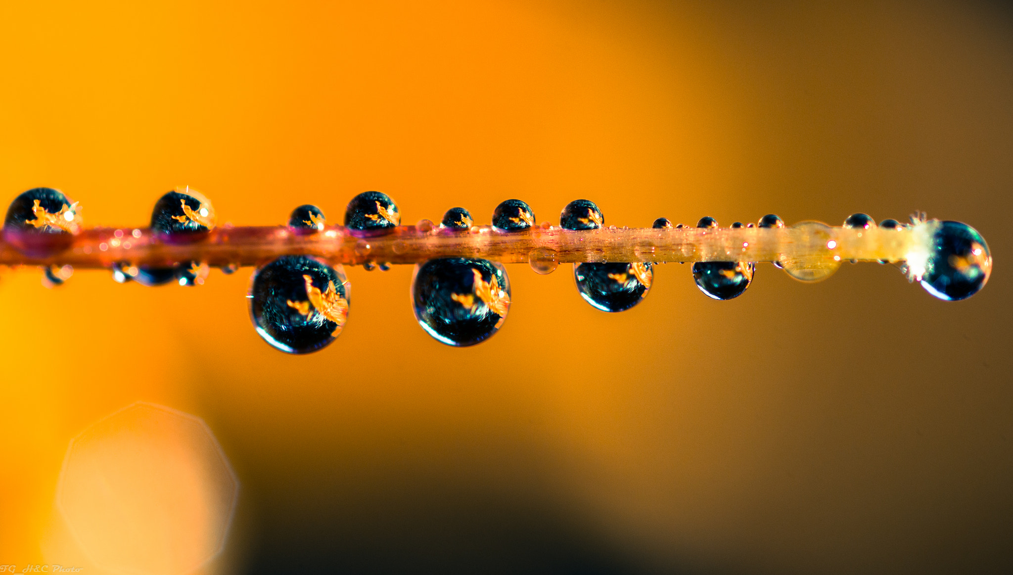 Canon EOS 70D + Canon EF 100mm F2.8 Macro USM sample photo. Droplets photography