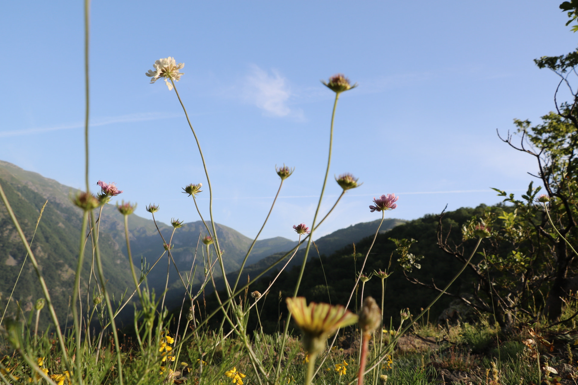 Canon EOS 750D (EOS Rebel T6i / EOS Kiss X8i) sample photo. Old mountain  photography