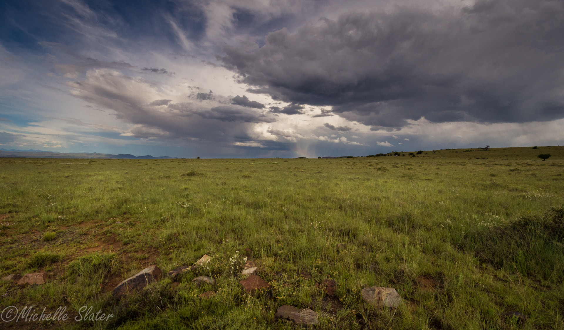 Nikon D600 sample photo. Vista of mountain zebra national park photography