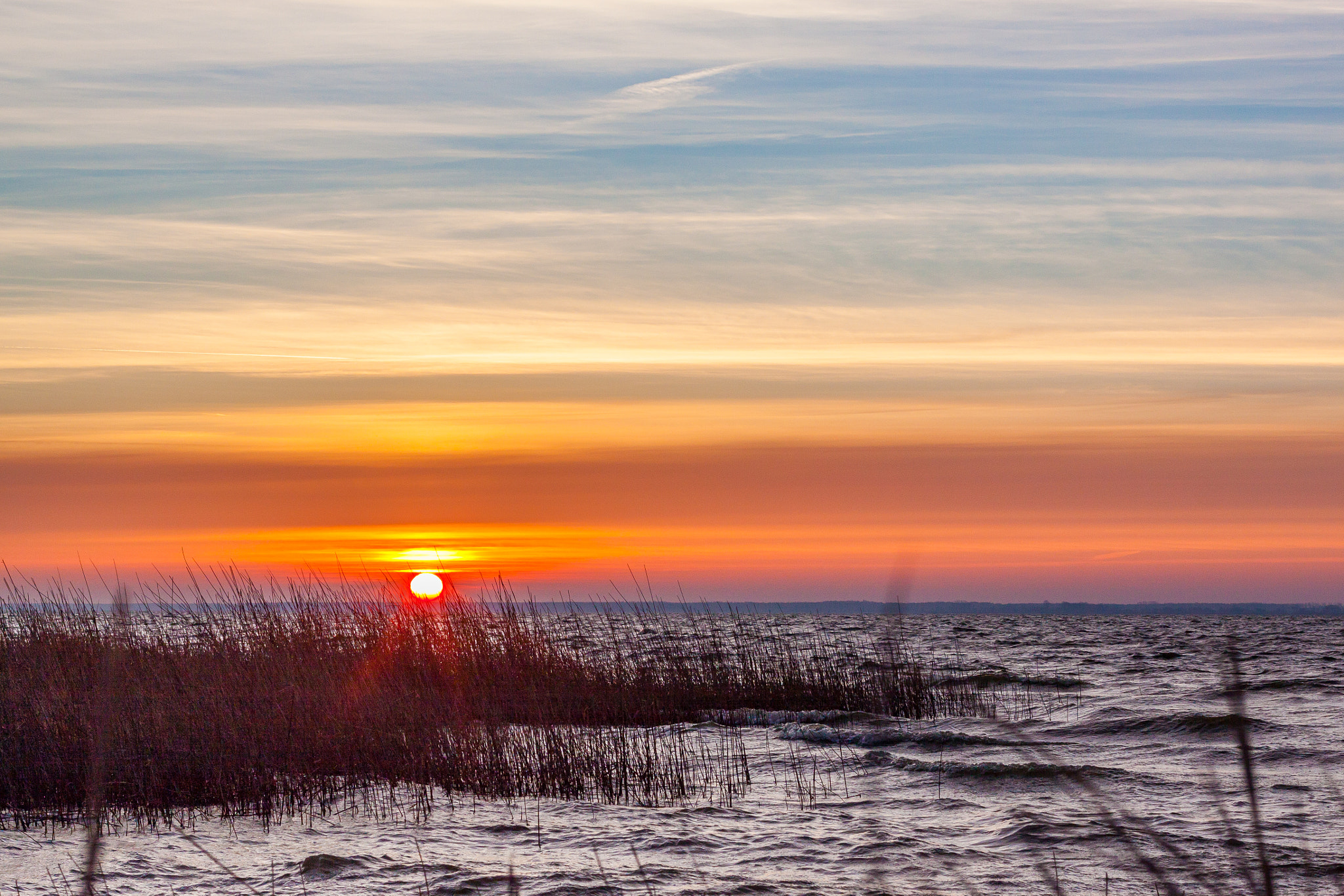 Canon EOS 50D + Canon EF 50mm F1.4 USM sample photo. Sonnenaufgang am saaler bodden photography