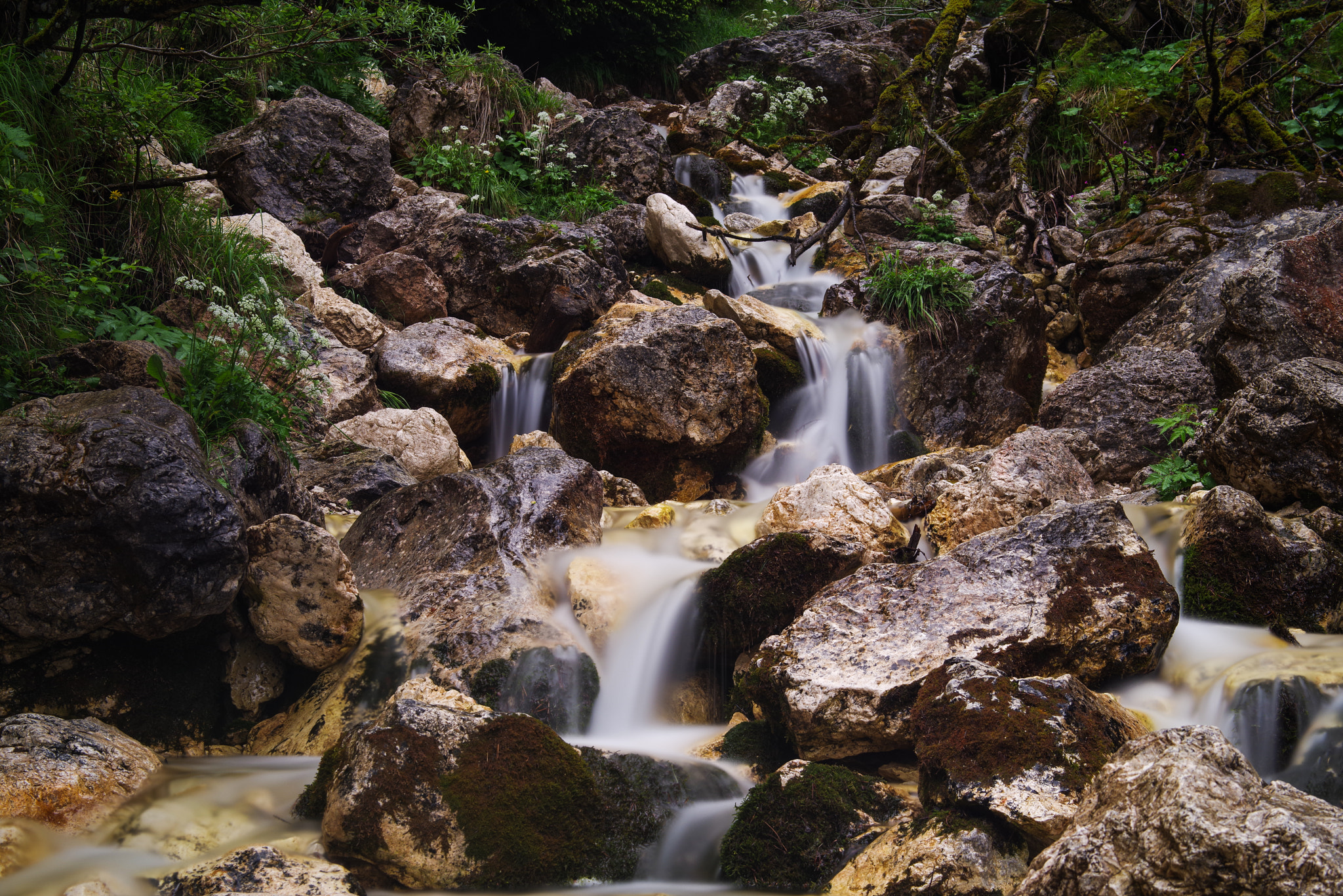 Pentax K-1 sample photo