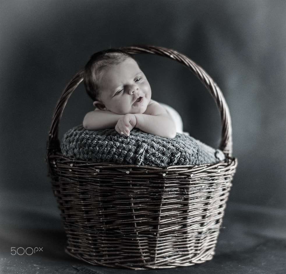 Nikon Df + Nikon AF-S Nikkor 58mm F1.4G sample photo. Cuteness photography