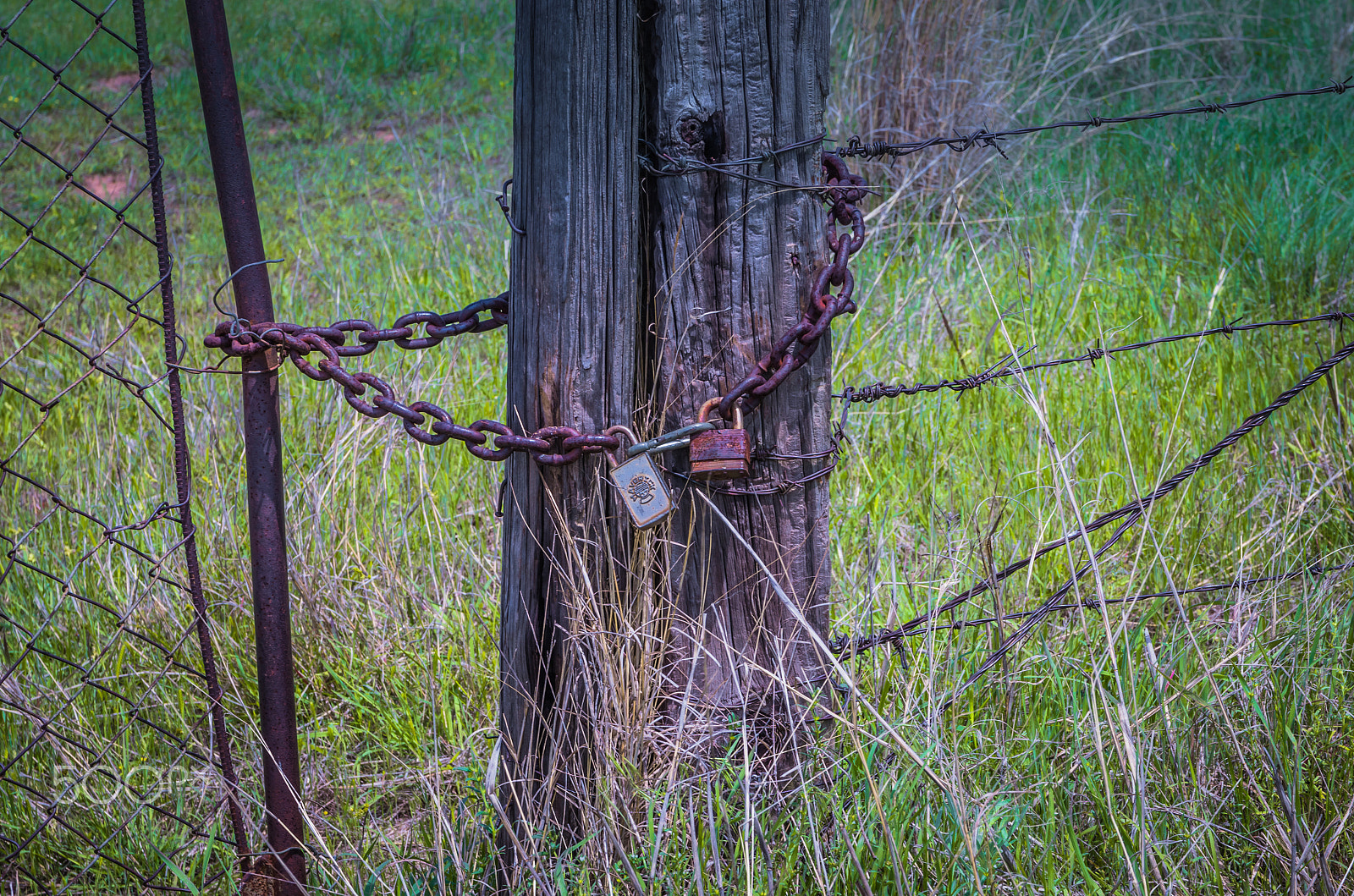 Sigma 17-70mm F2.8-4 DC Macro HSM | C sample photo. Old locks photography