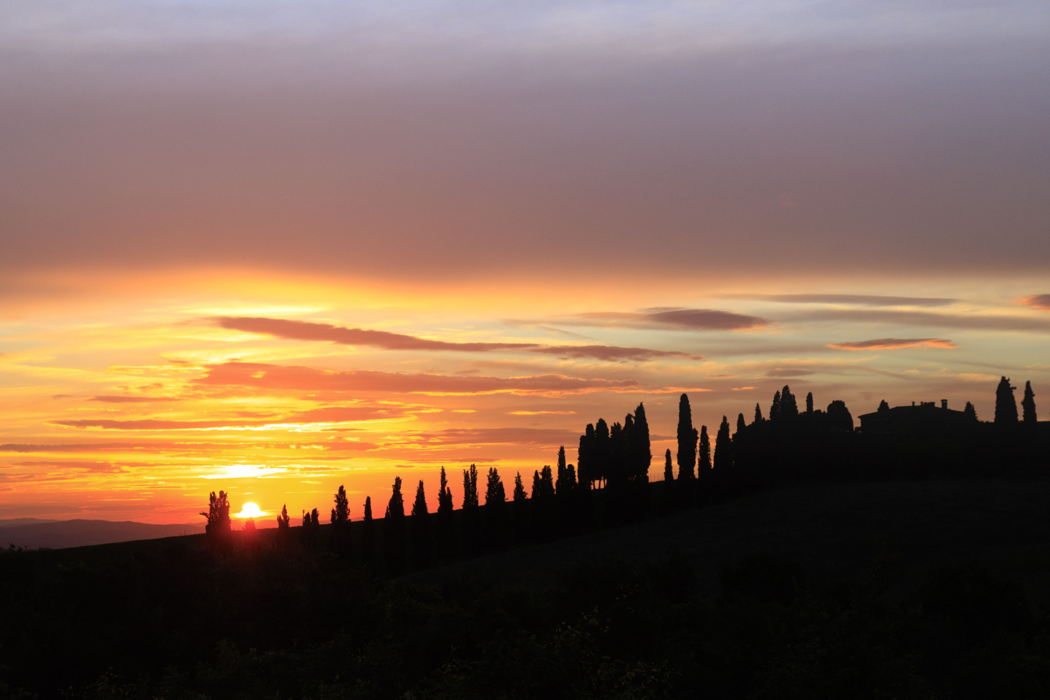 Sunset villa gladiators