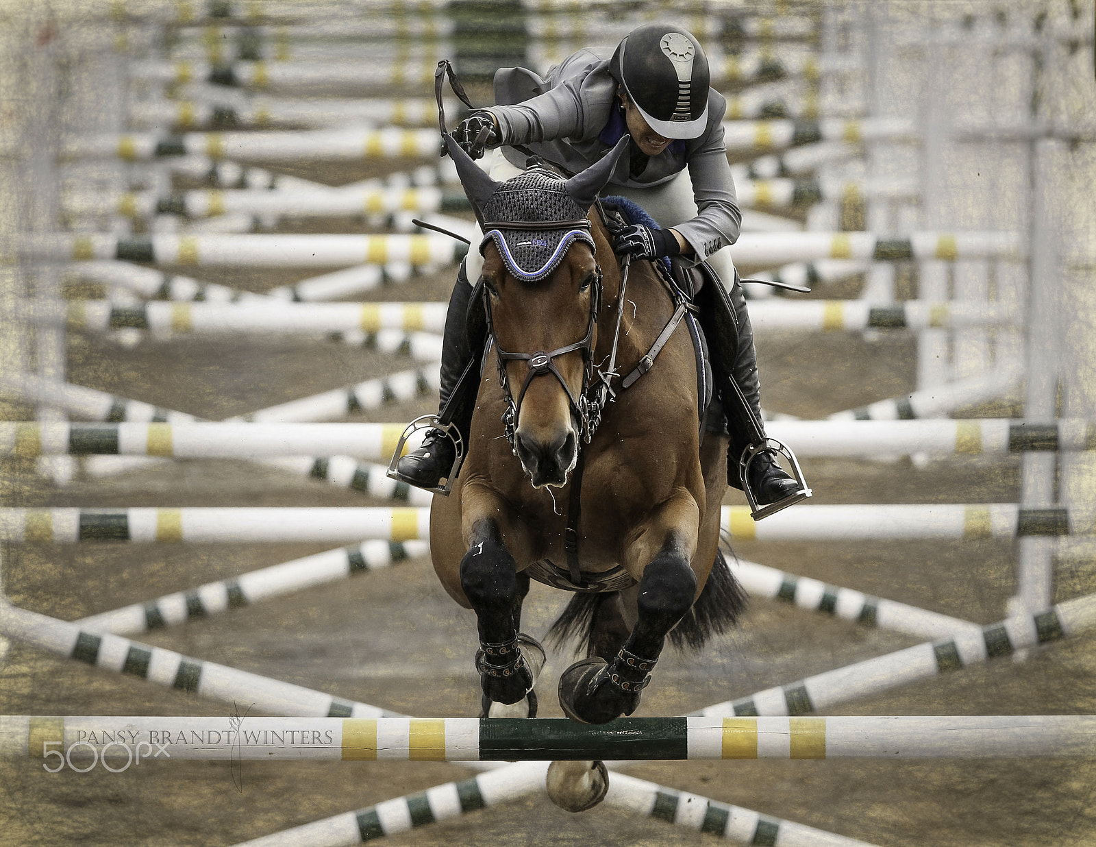 Canon EF 300mm F2.8L IS USM sample photo. Grid photography