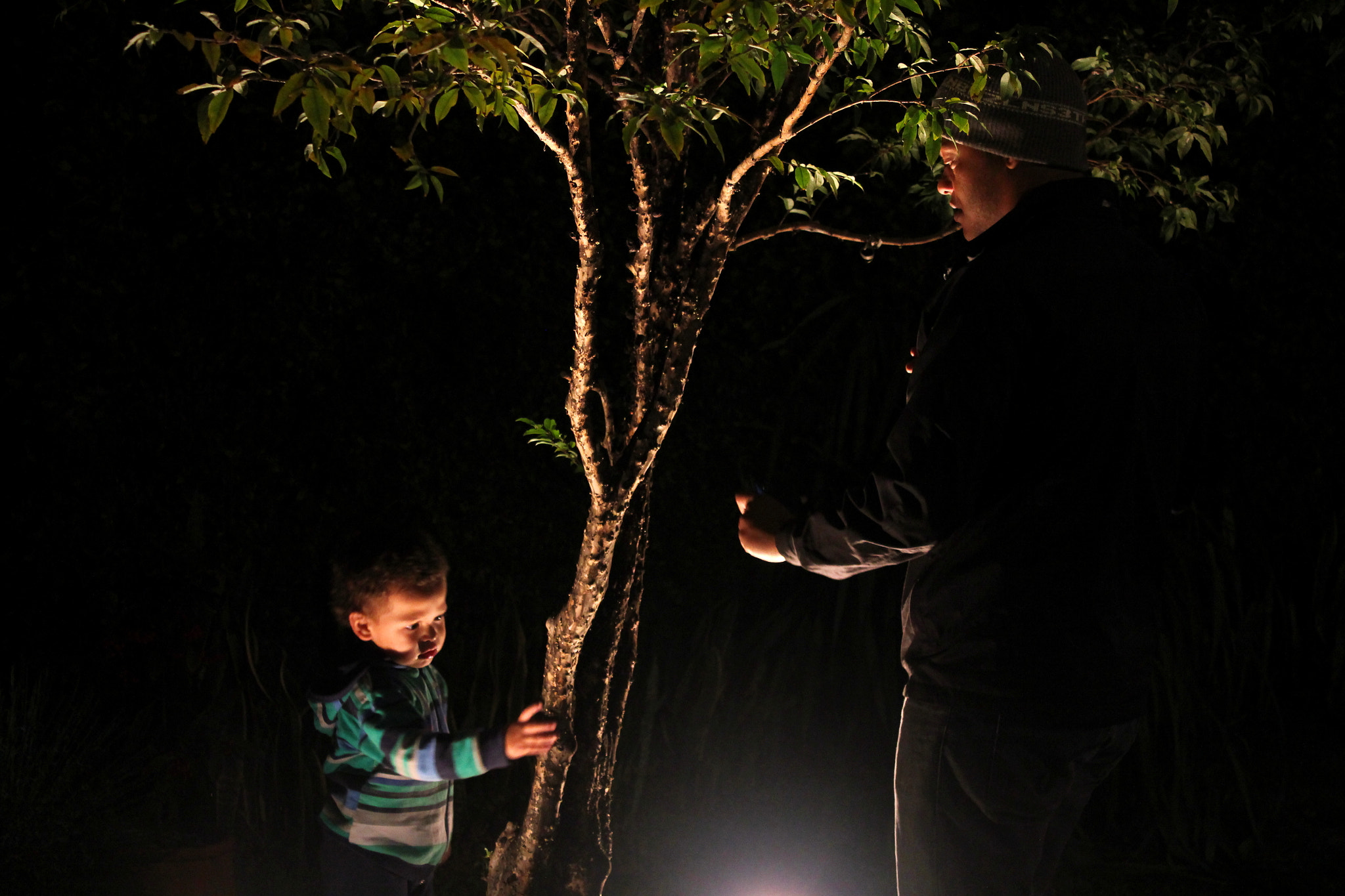 Canon EOS 550D (EOS Rebel T2i / EOS Kiss X4) + Canon EF-S 18-55mm F3.5-5.6 IS sample photo. Father and son on the light photography