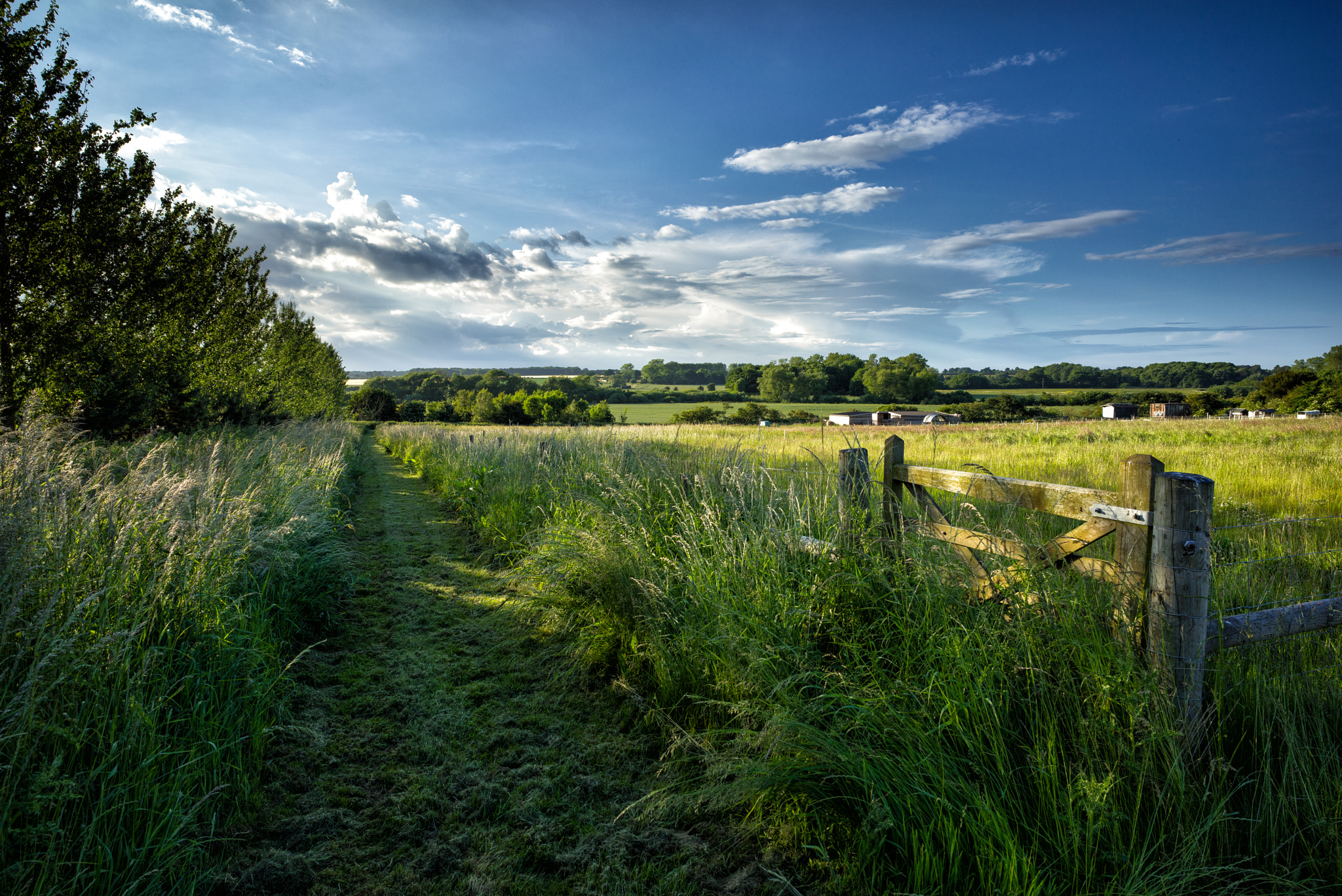 Sony a7R + E 21mm F2.8 sample photo. Late afternoon in suffolk photography