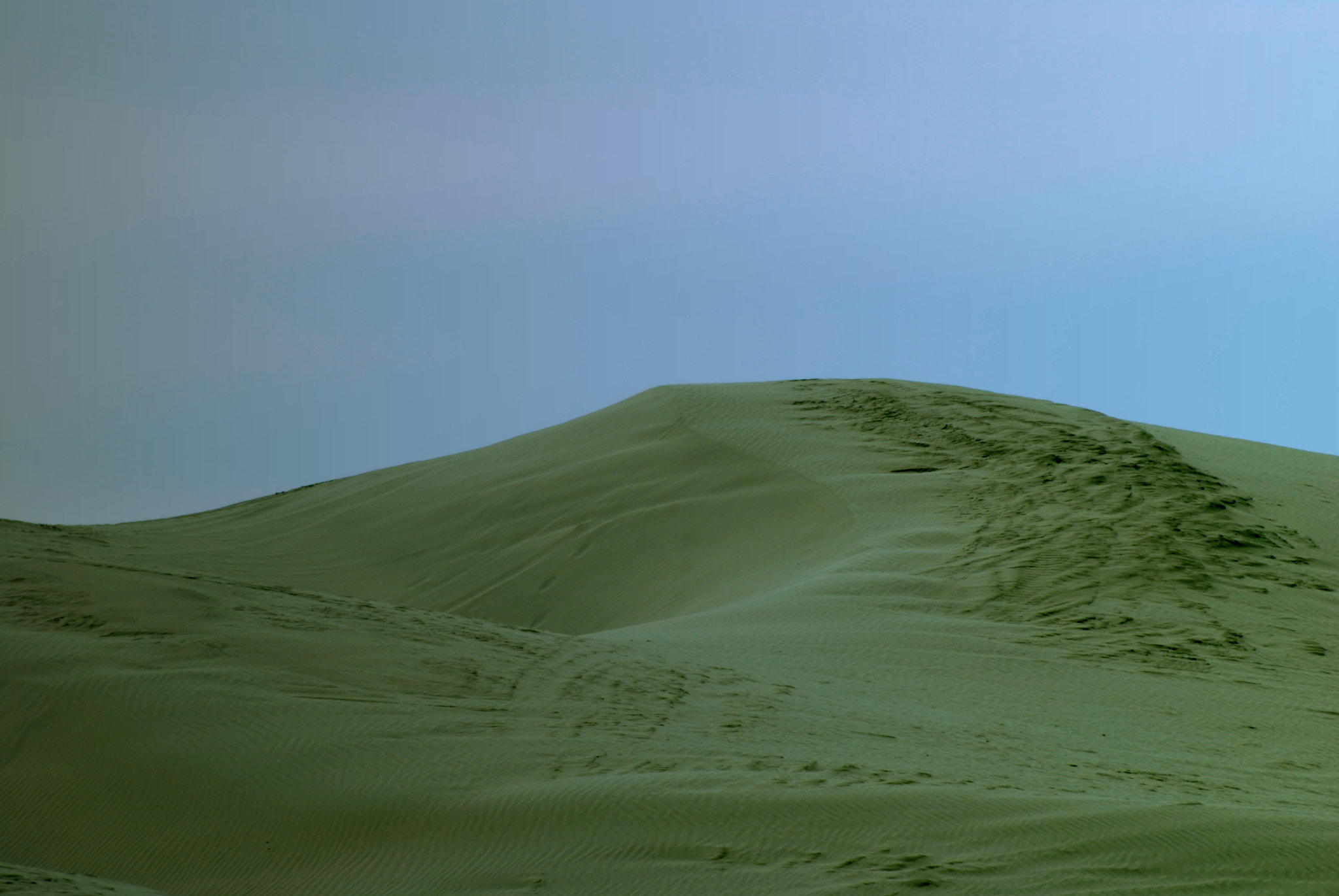Nikon D60 sample photo. Sand tracks photography
