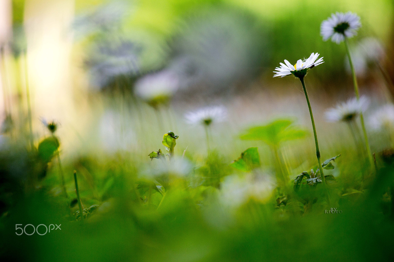 Canon EOS M sample photo. Sometimes i'm looking for the sun photography